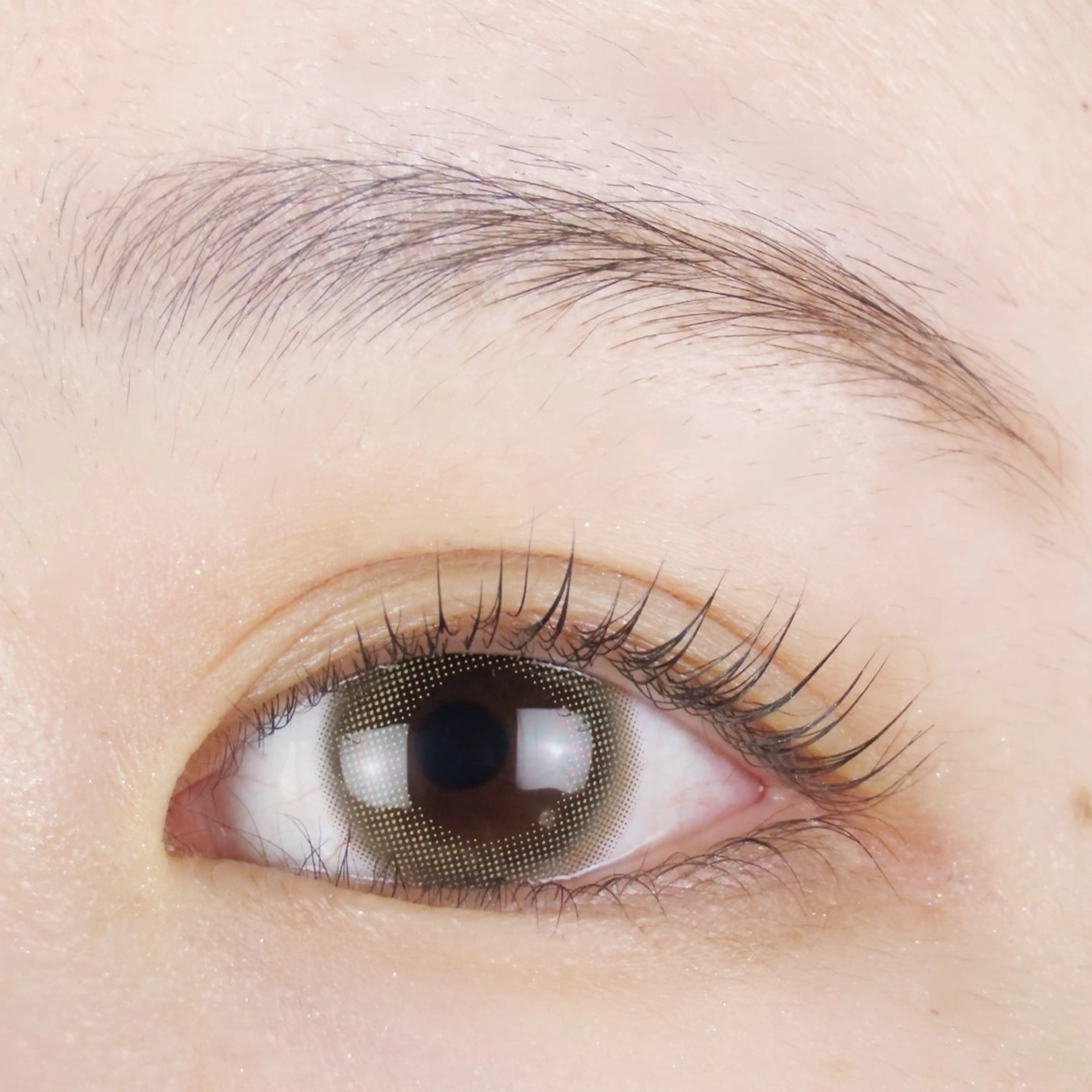 【ラッシュリフト(トリートメント込み)】上のみの写真