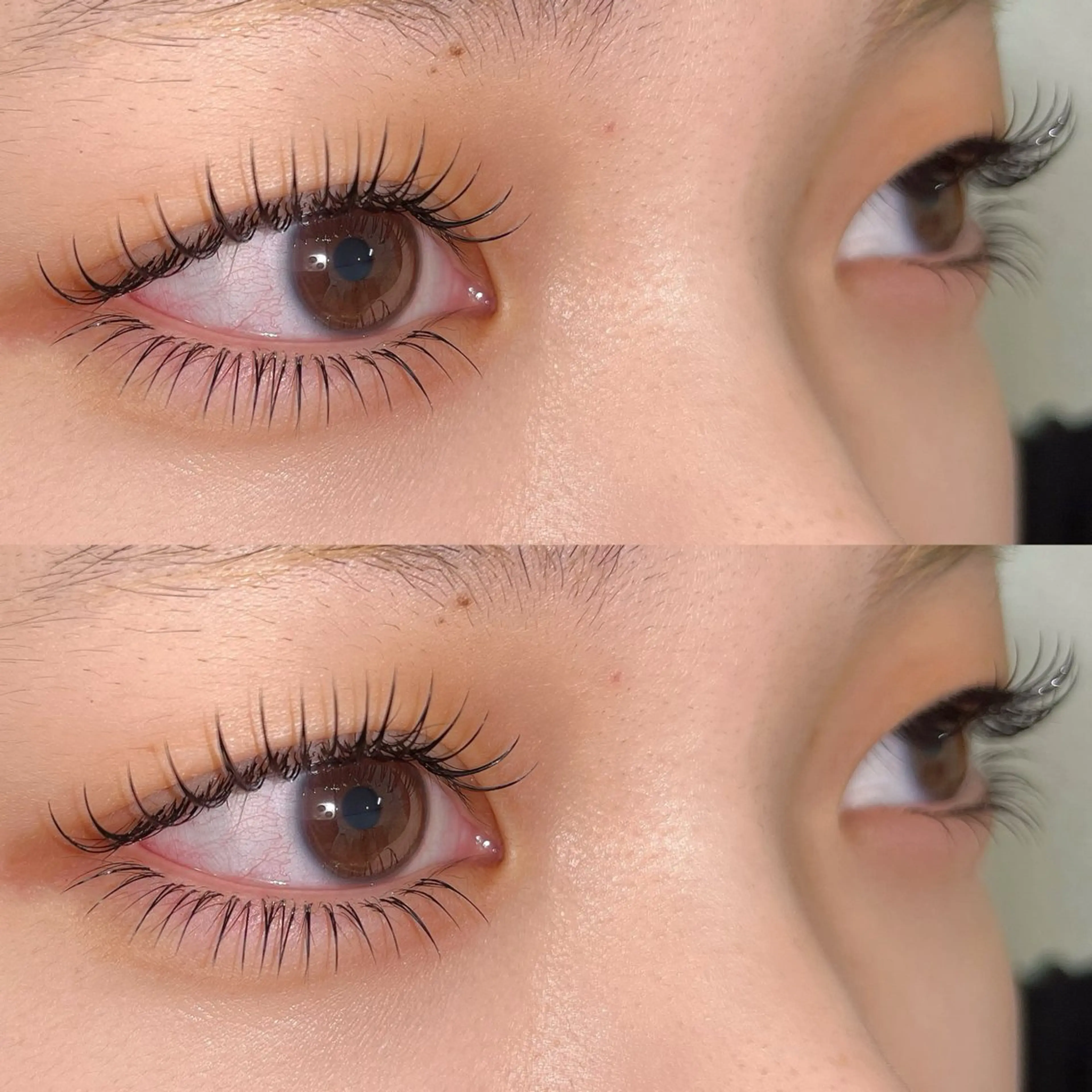 🌟フラットラッシュ上100本+下30本🌟【31日限定】の写真