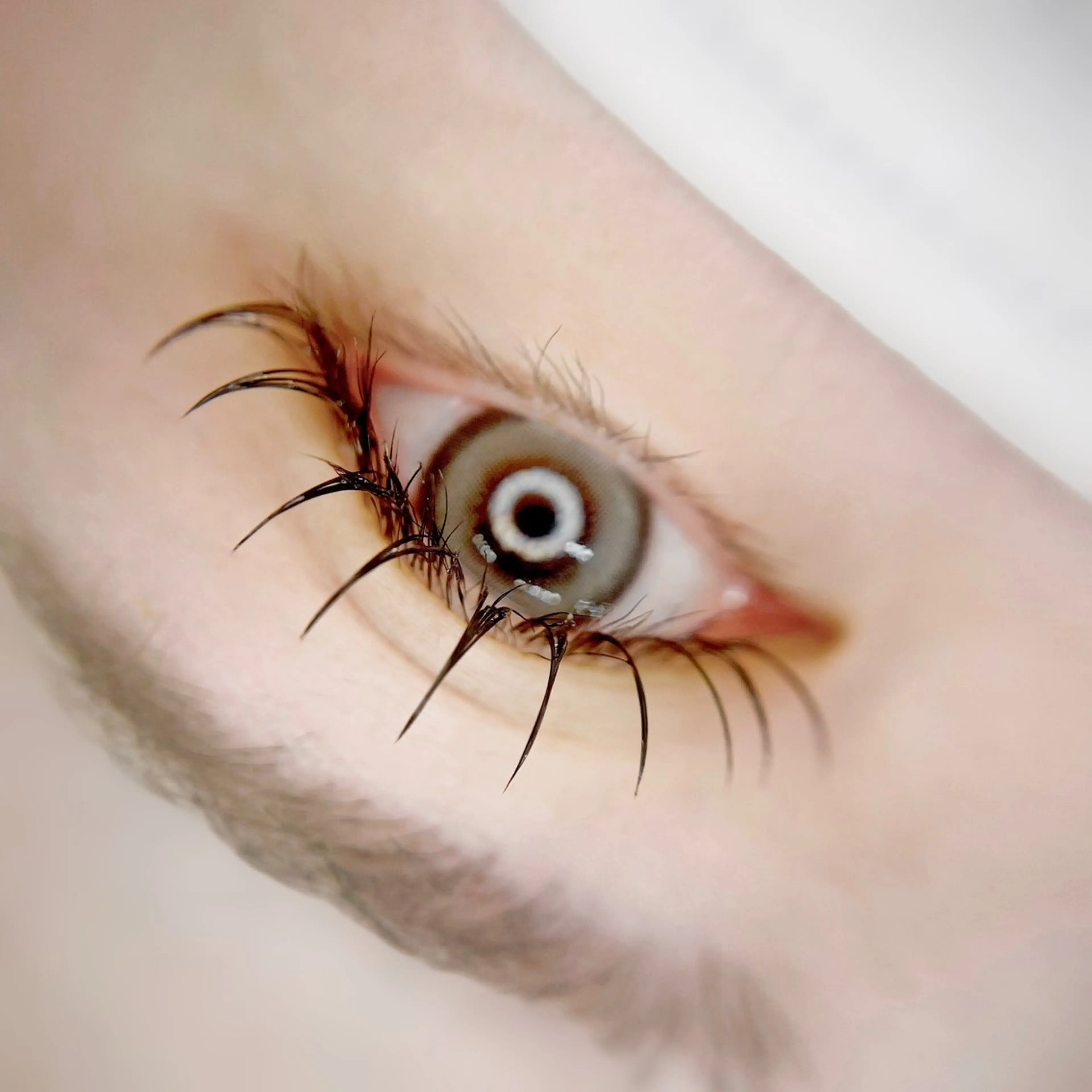 マツエク・マツパ マツエク EYE405 千葉店所属・Moe. 🌿‬☽のマツエク・マツパデザイン