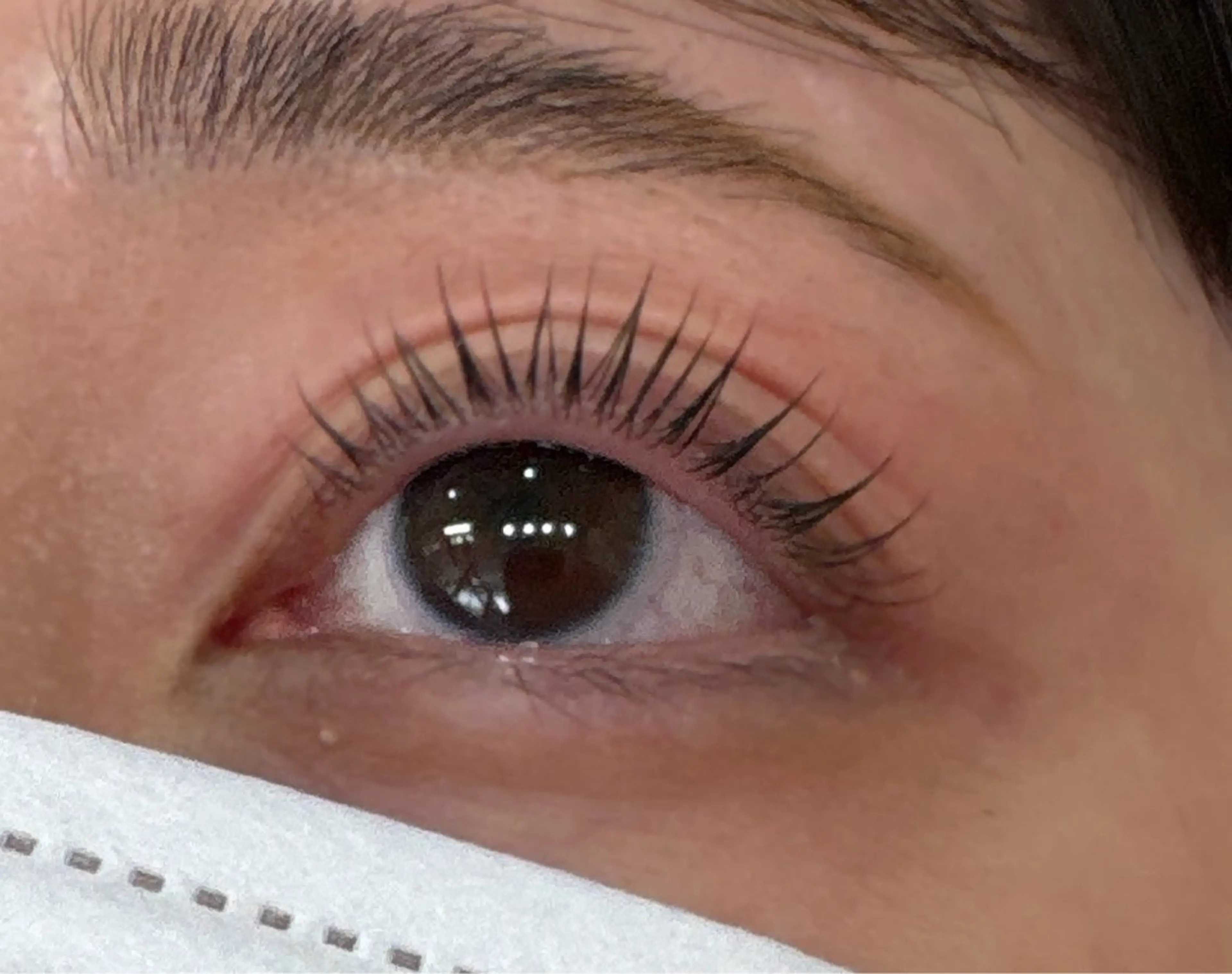 マツエク・マツパ まつげパーマ マツパ 須貝 スガイの眉毛・アイブロウイメージ