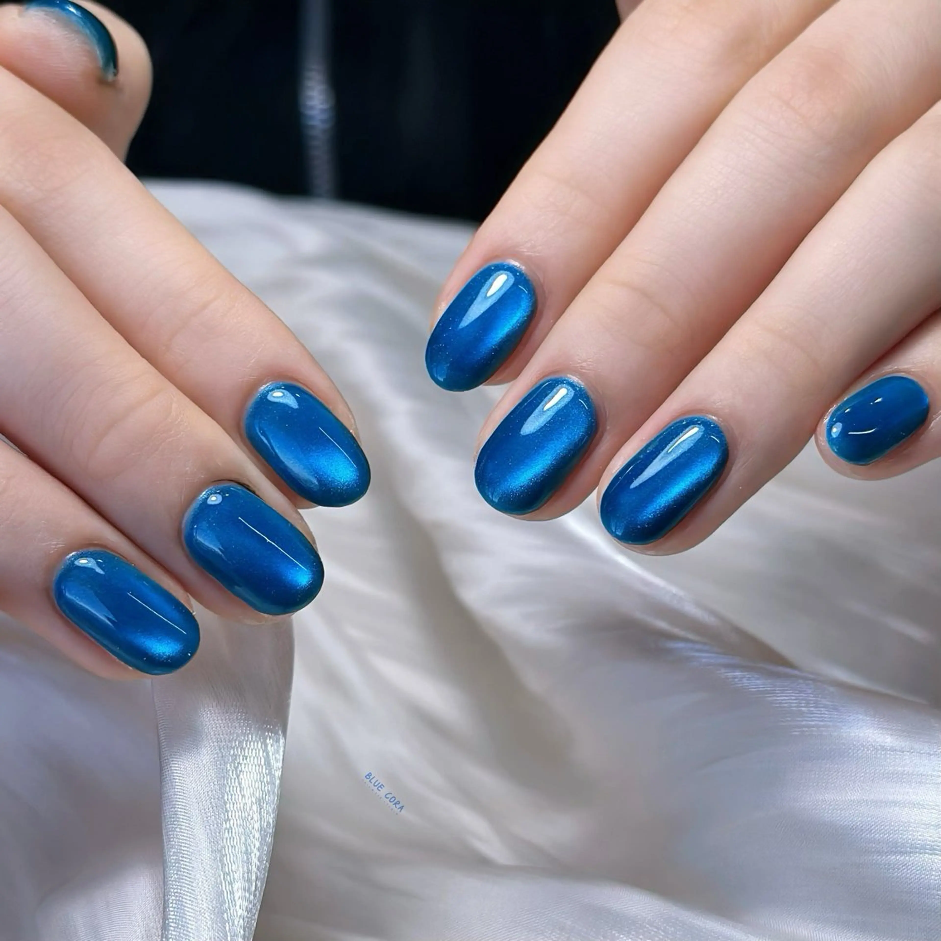 ネイル マグネットネイル ハンドネイル ハンドケア BLUE CORA所属・BLUE CORAのネイルデザイン