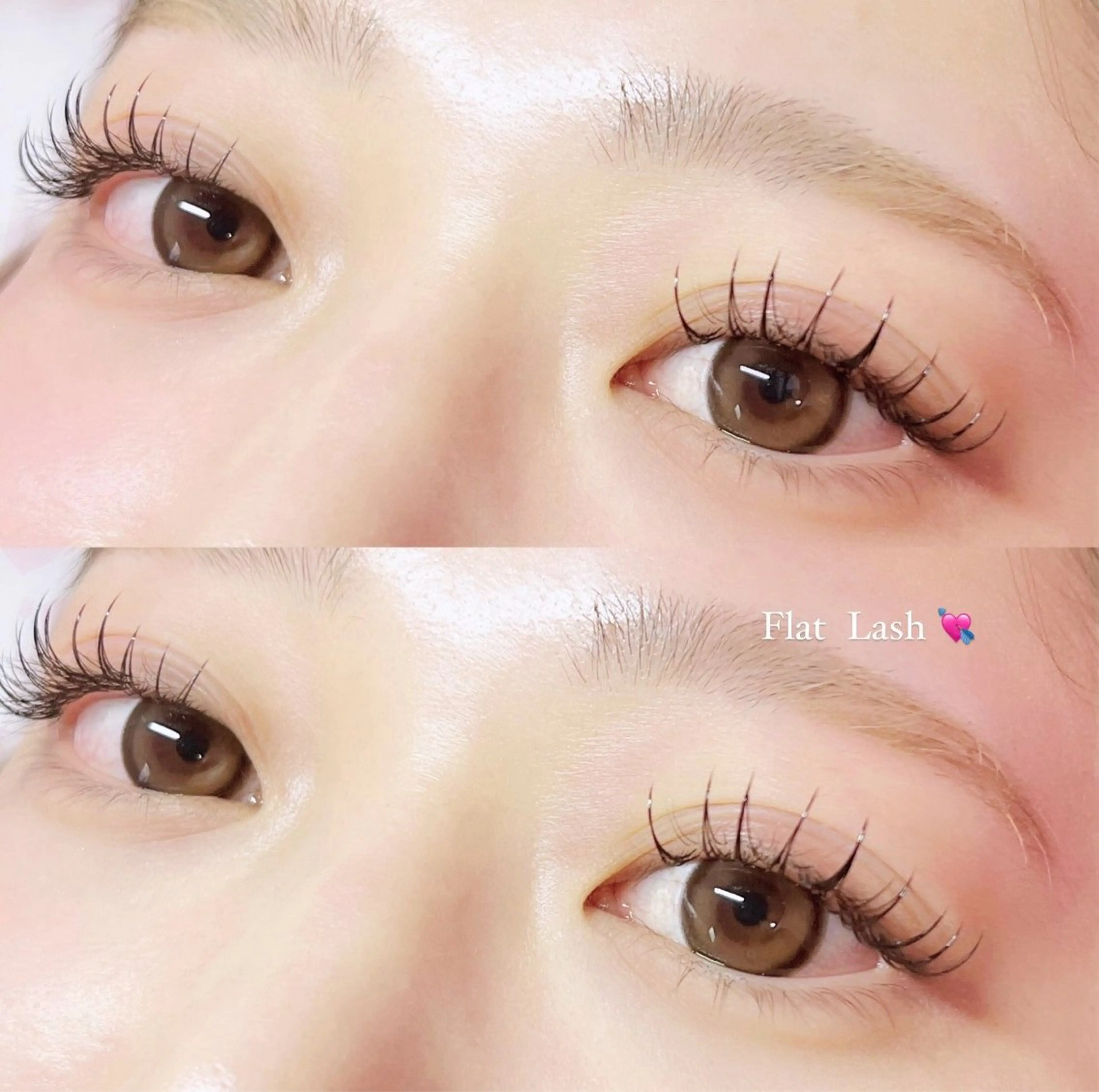 フラットマットラッシュ100本（オフ込み）ブラウン変更500円の写真