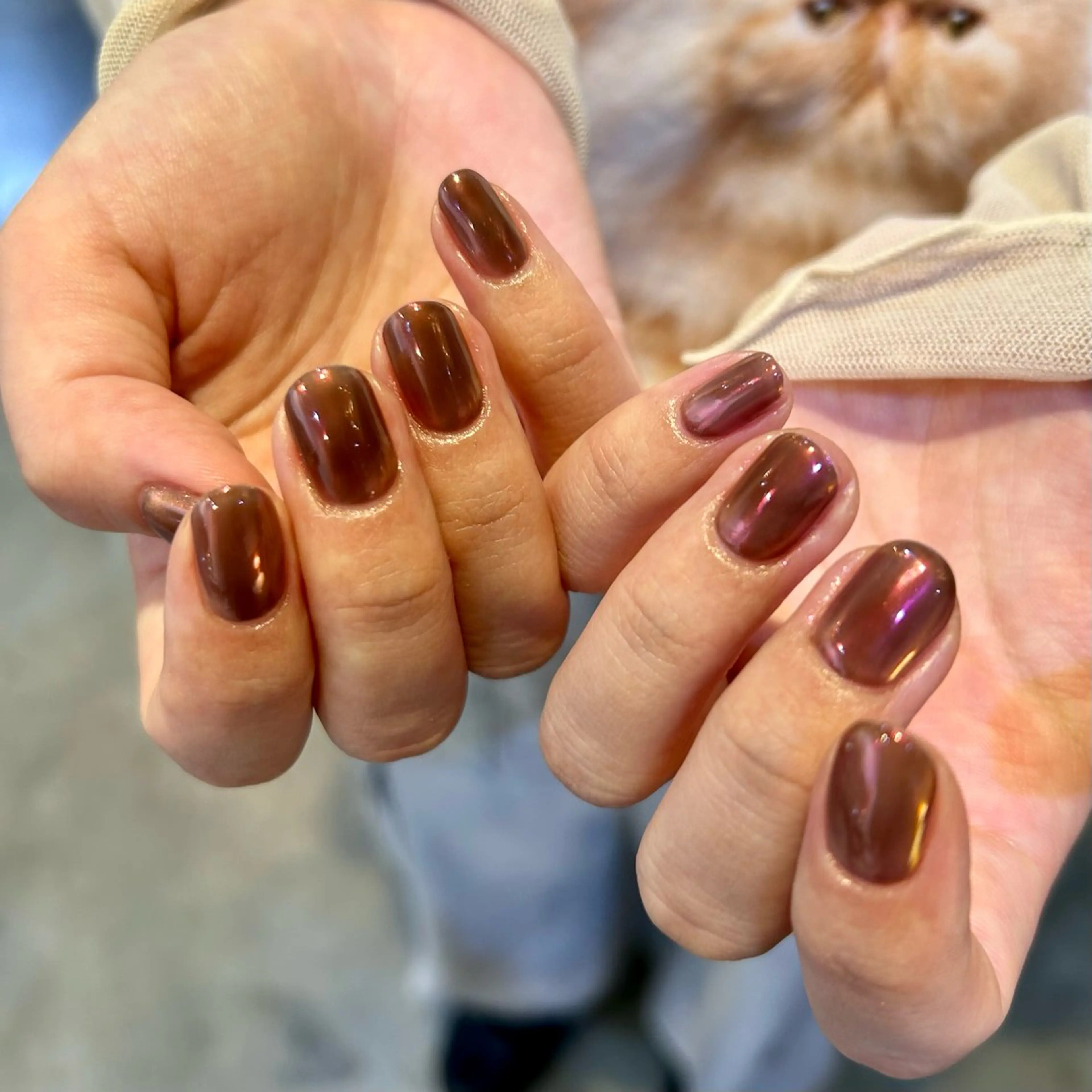 ネイル オーロラネイル ワンカラーネイル Yumi 広尾|恵比寿ネイルのネイルデザイン