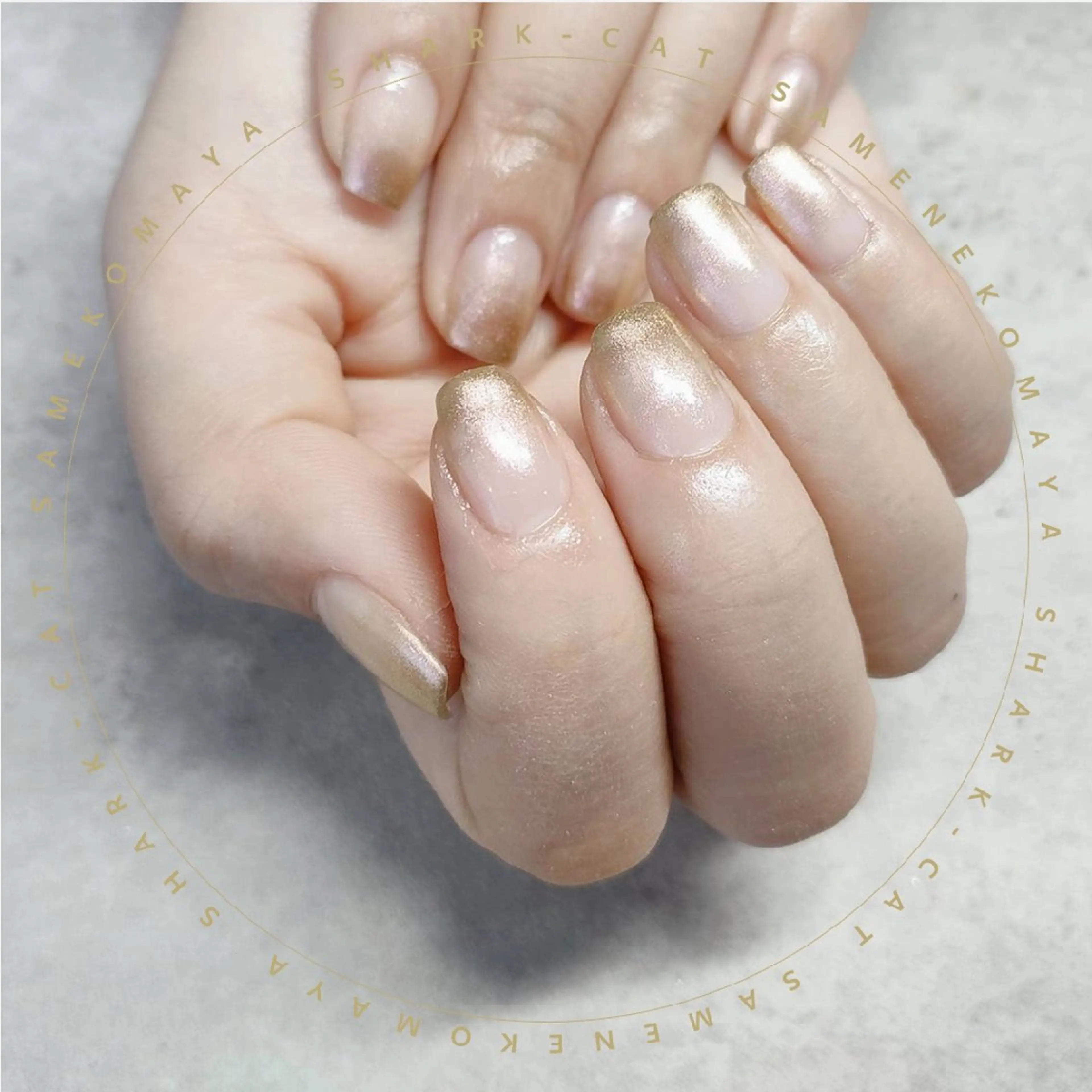 ネイル サメ猫 マーヤのネイルデザイン