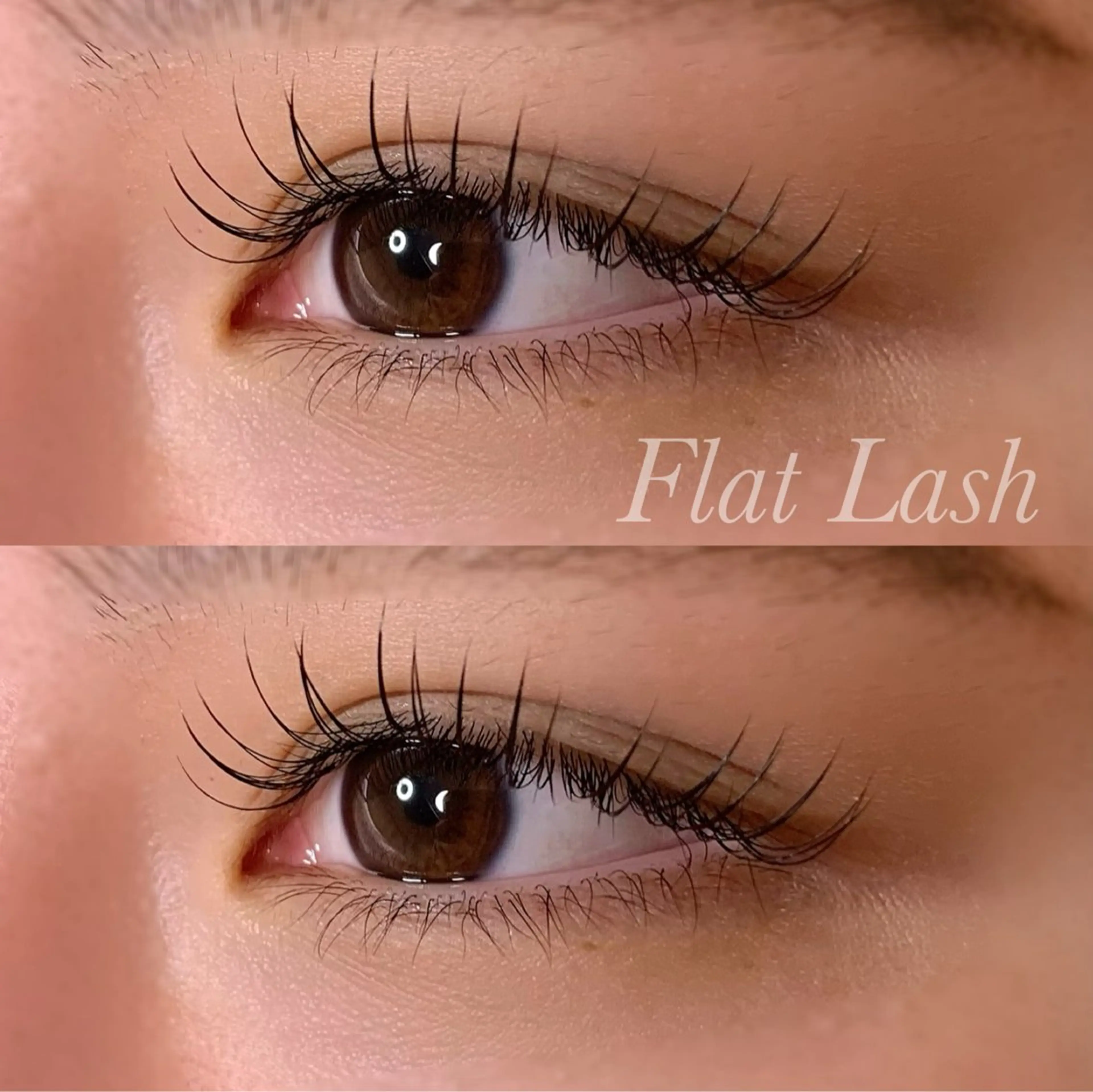 マツエク・マツパ Cカール フラットラッシュ Ayumi.pro 🍆N《4階》のマツエク・マツパデザイン