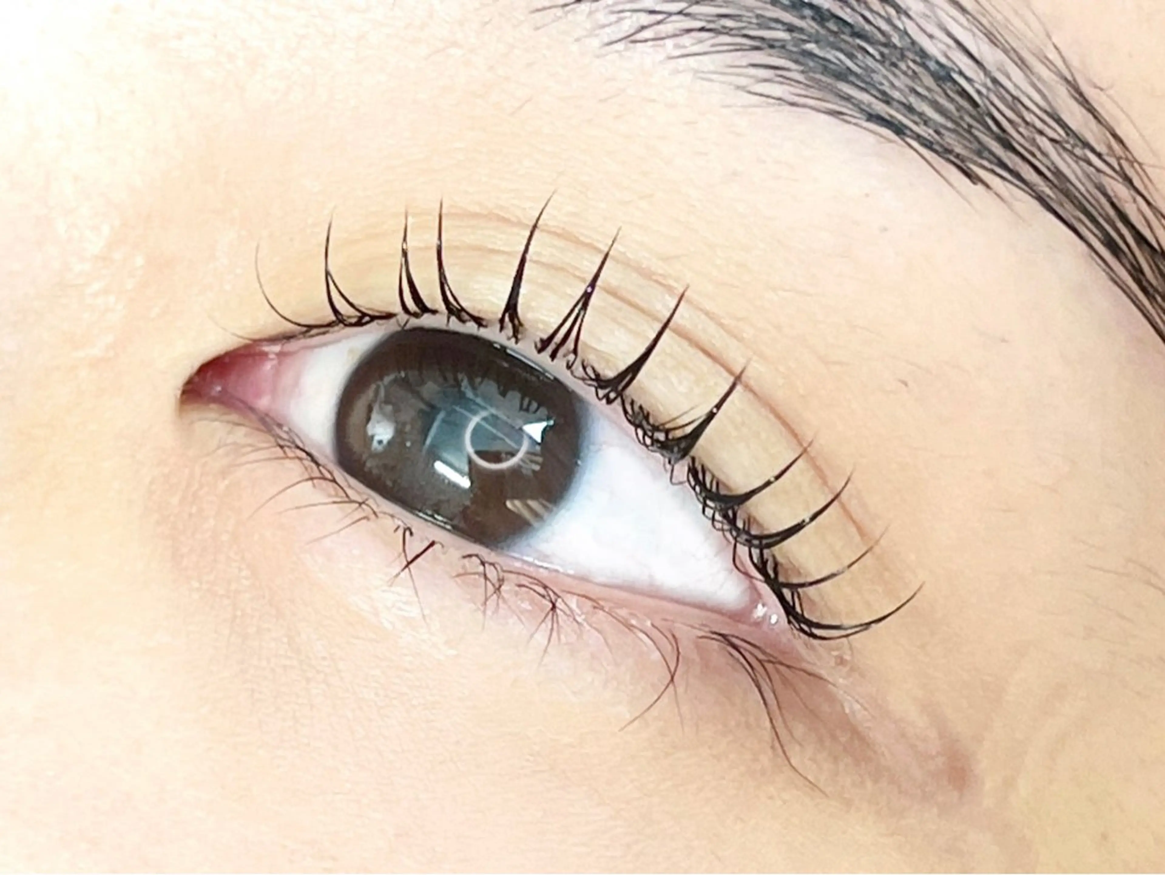 [当日予約限定メニュー❕✨]まつげパーマ🪄カールデザイン✨トリートメントケア.束感コーティングのサービス付き♡の写真