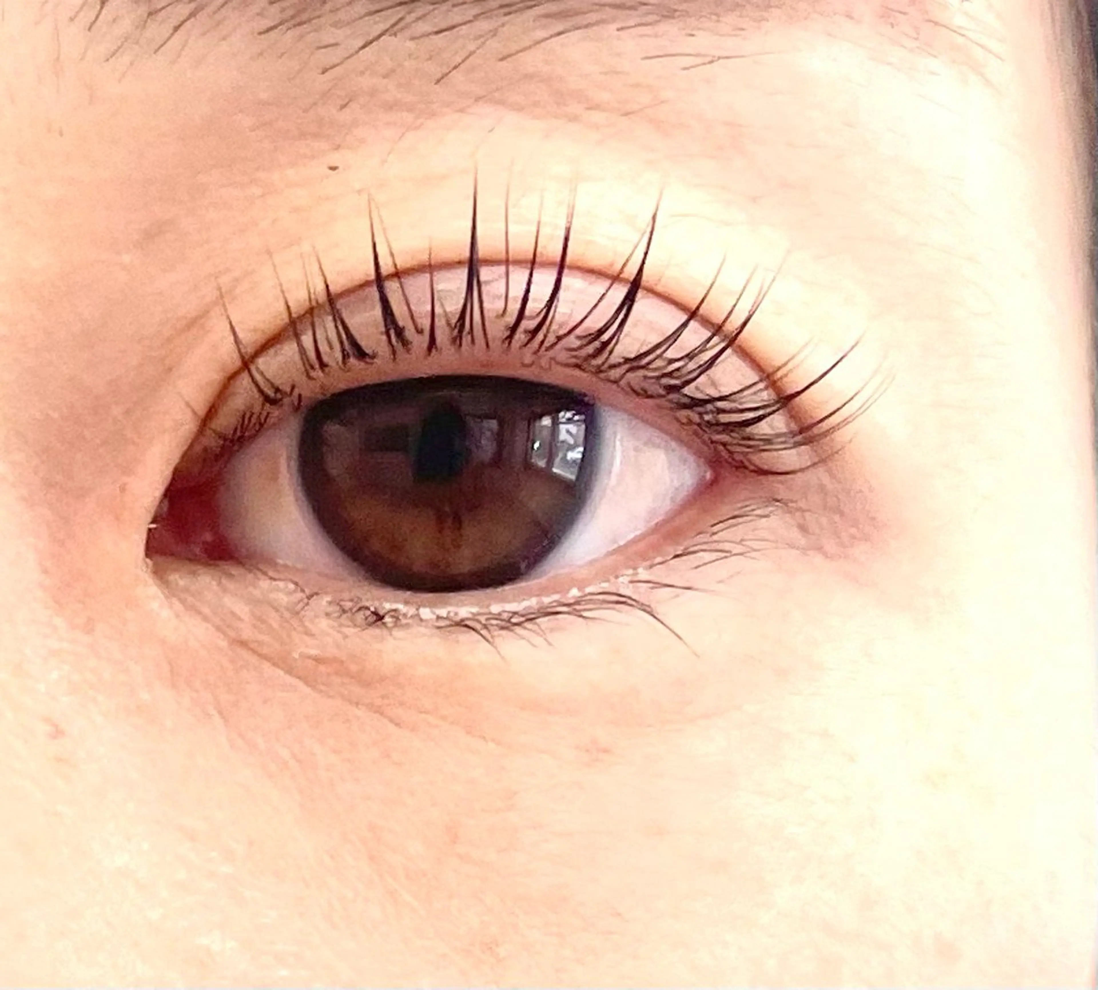 マツエク・マツパ Eyelash salon Lily所属・杉浦 ともこのマツエク・マツパデザイン