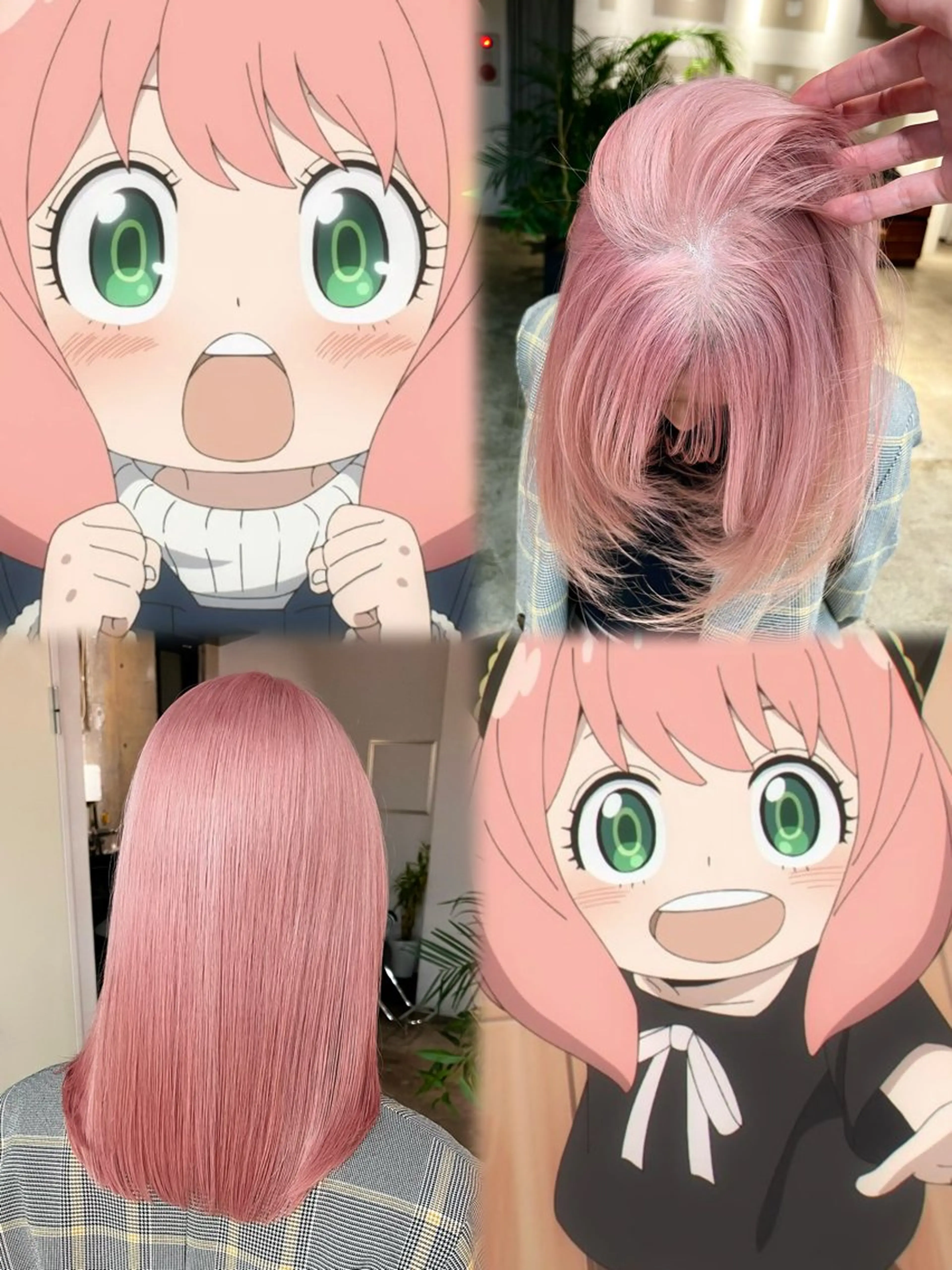 カラー ピンクカラー ウルフとデザイン カラーの神のヘアスタイル