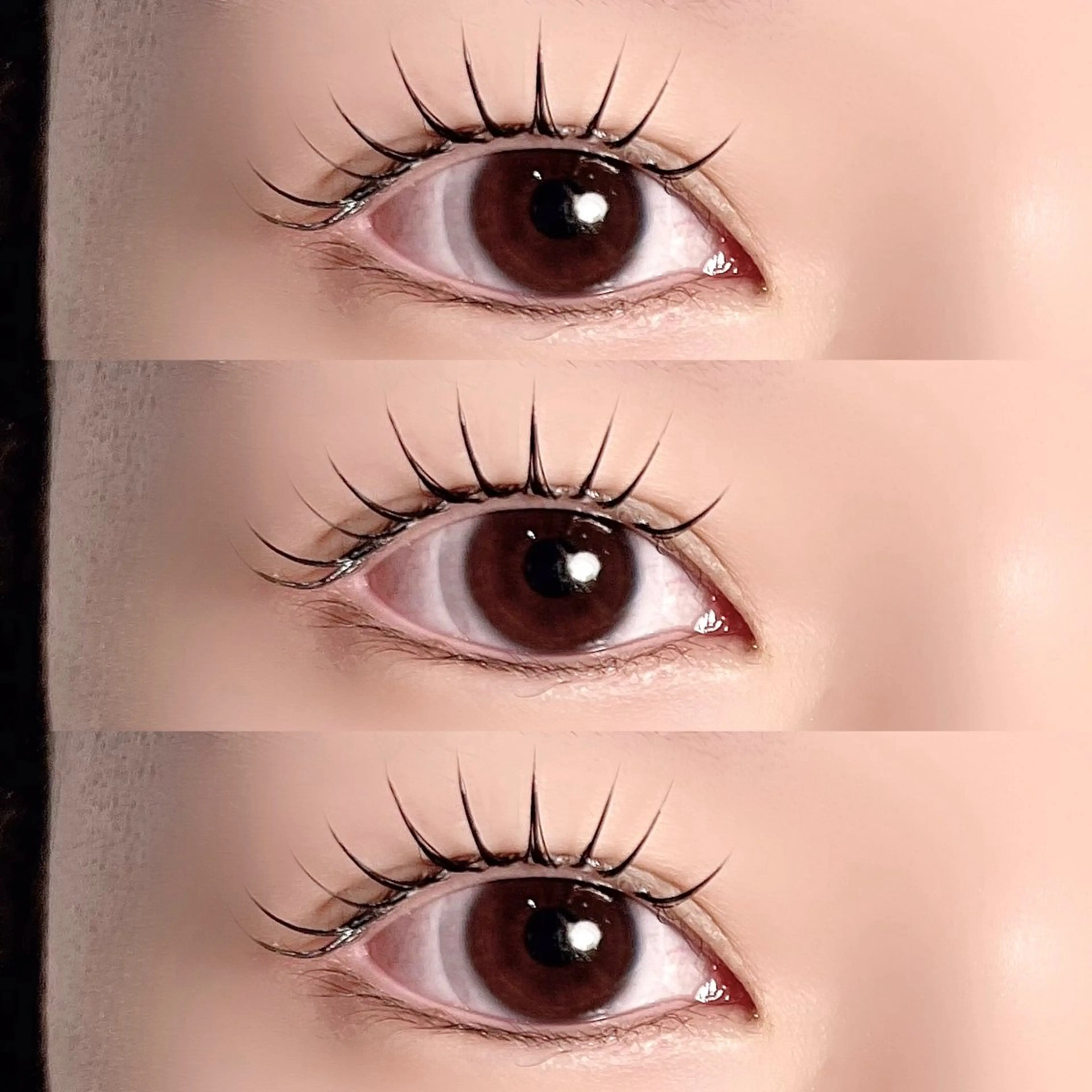 ‎🤍ྀི＆healthy フラットラッシュ100本 🤍ྀི まつエク×まつ毛パーマ 「LED + ¥1000」の写真