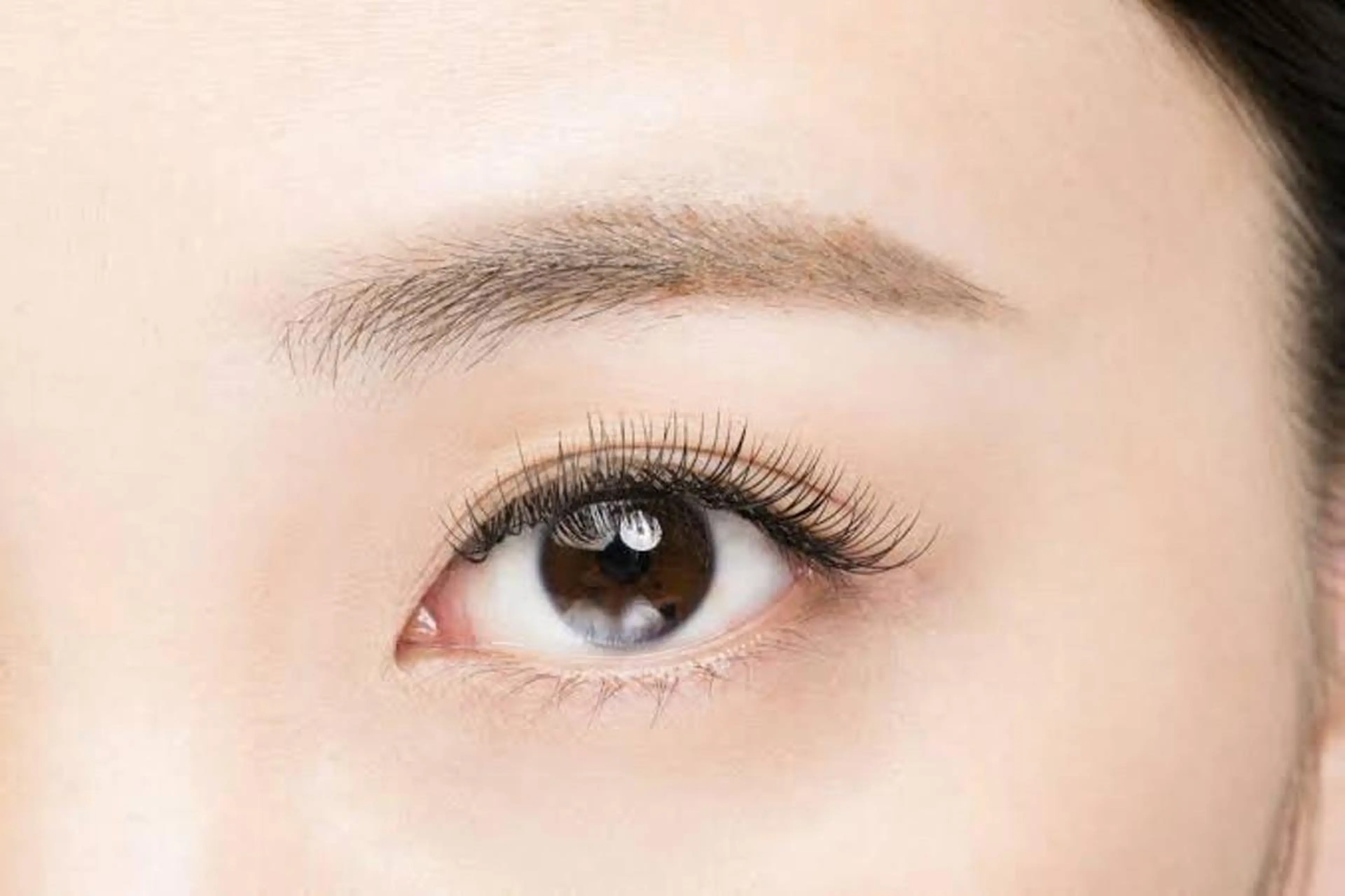 シングルラッシュ100本の写真