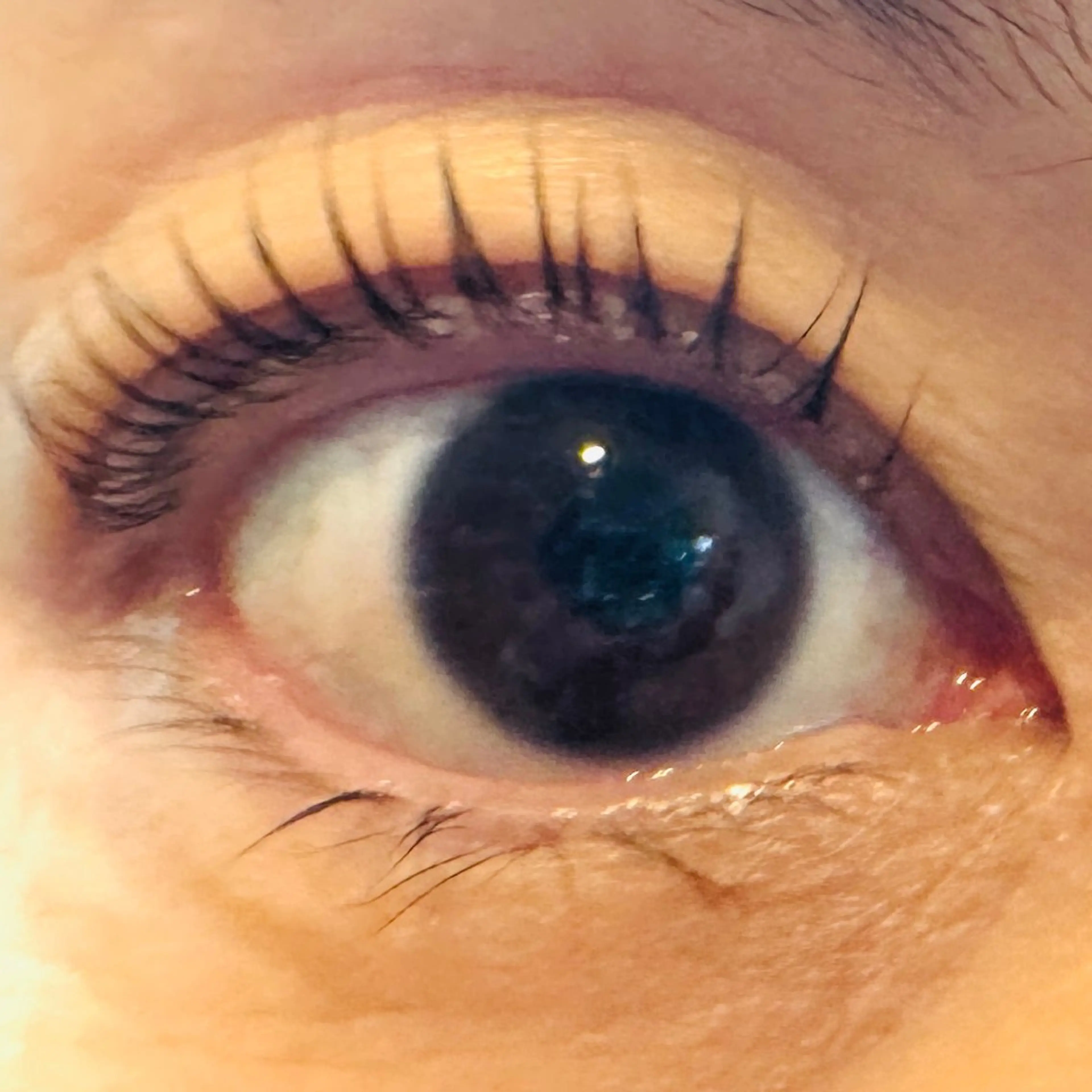 マツエク・マツパ CLAY MIKOのマツエク・マツパデザイン