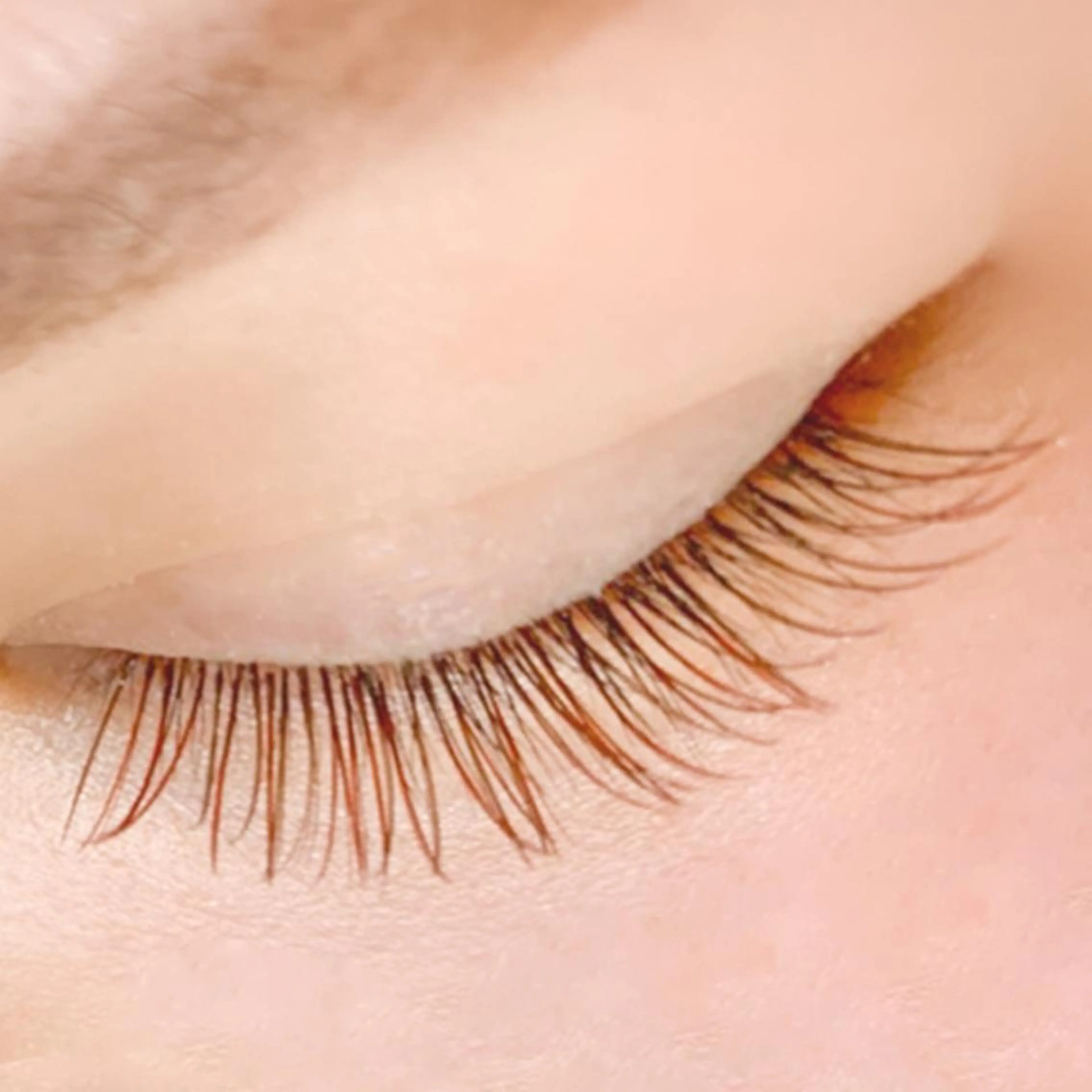 マツエク・マツパ フラットラッシュ Mayumi. Uのマツエク・マツパデザイン