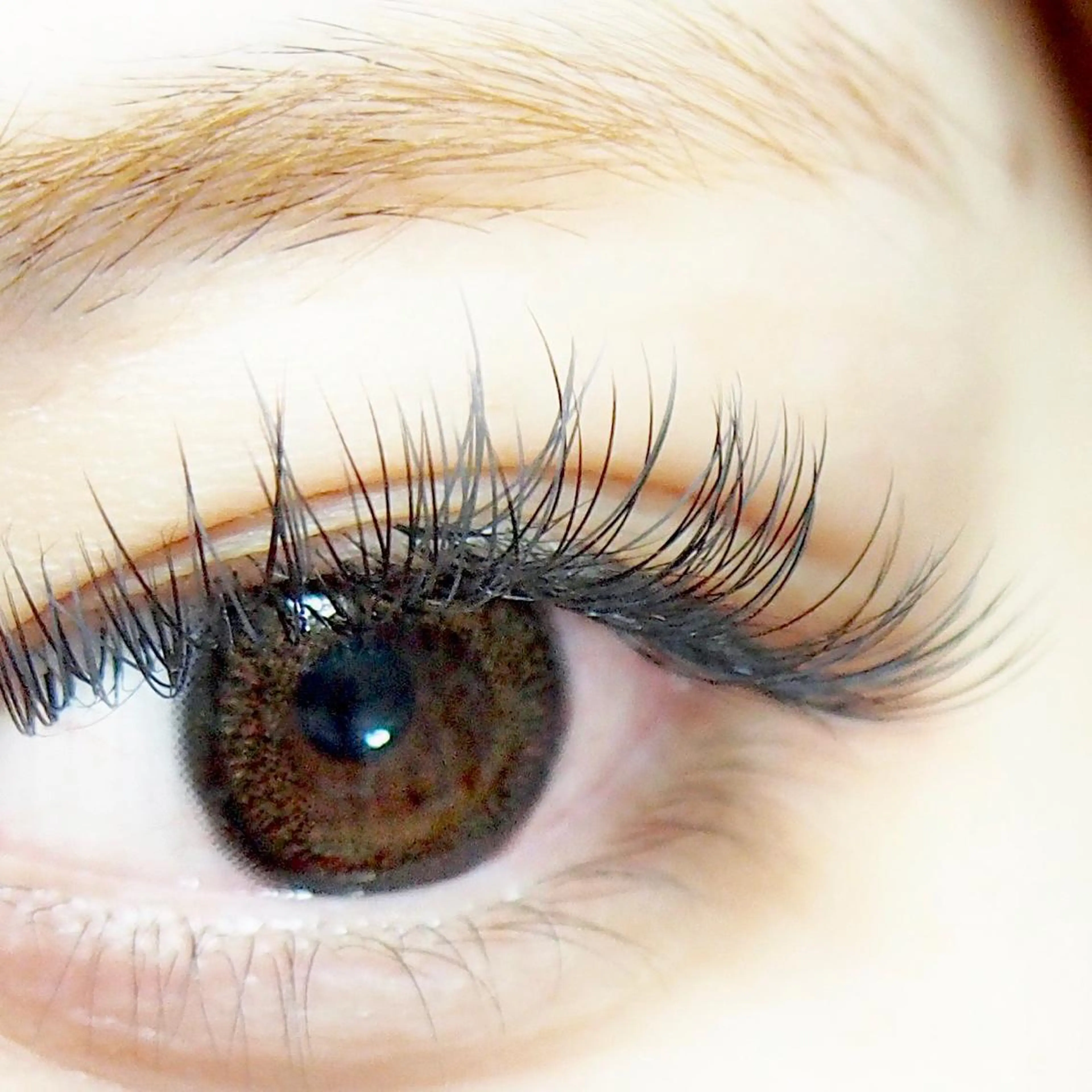 🉐Wフラットラッシュ⭐️80束(160本）🕊️ブラウン1色まで変更無料🙆‍♀️オフ無し！付け足しOK！の写真