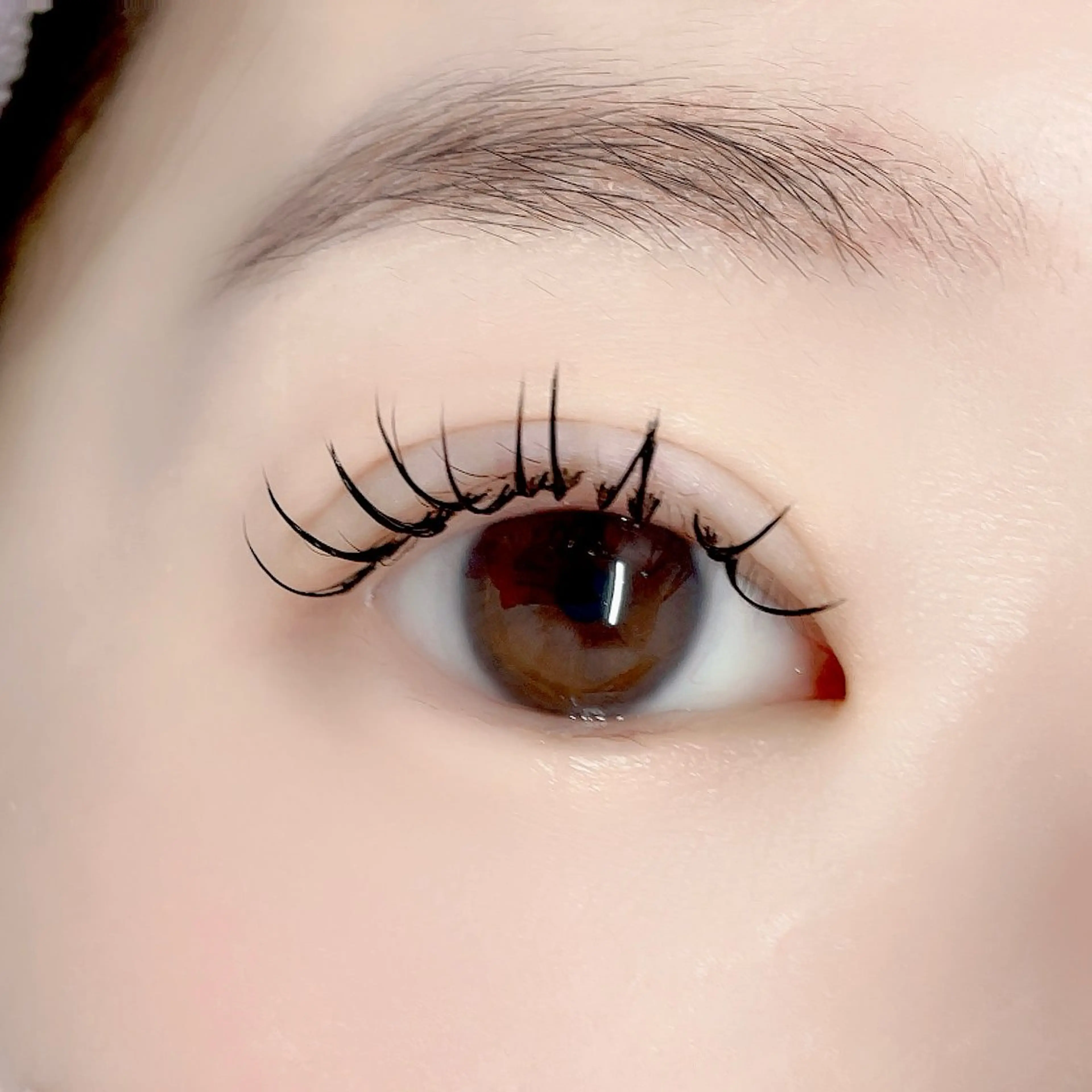 マツエク・マツパ Morganite 🦋 ÿui 🦋のマツエク・マツパデザイン