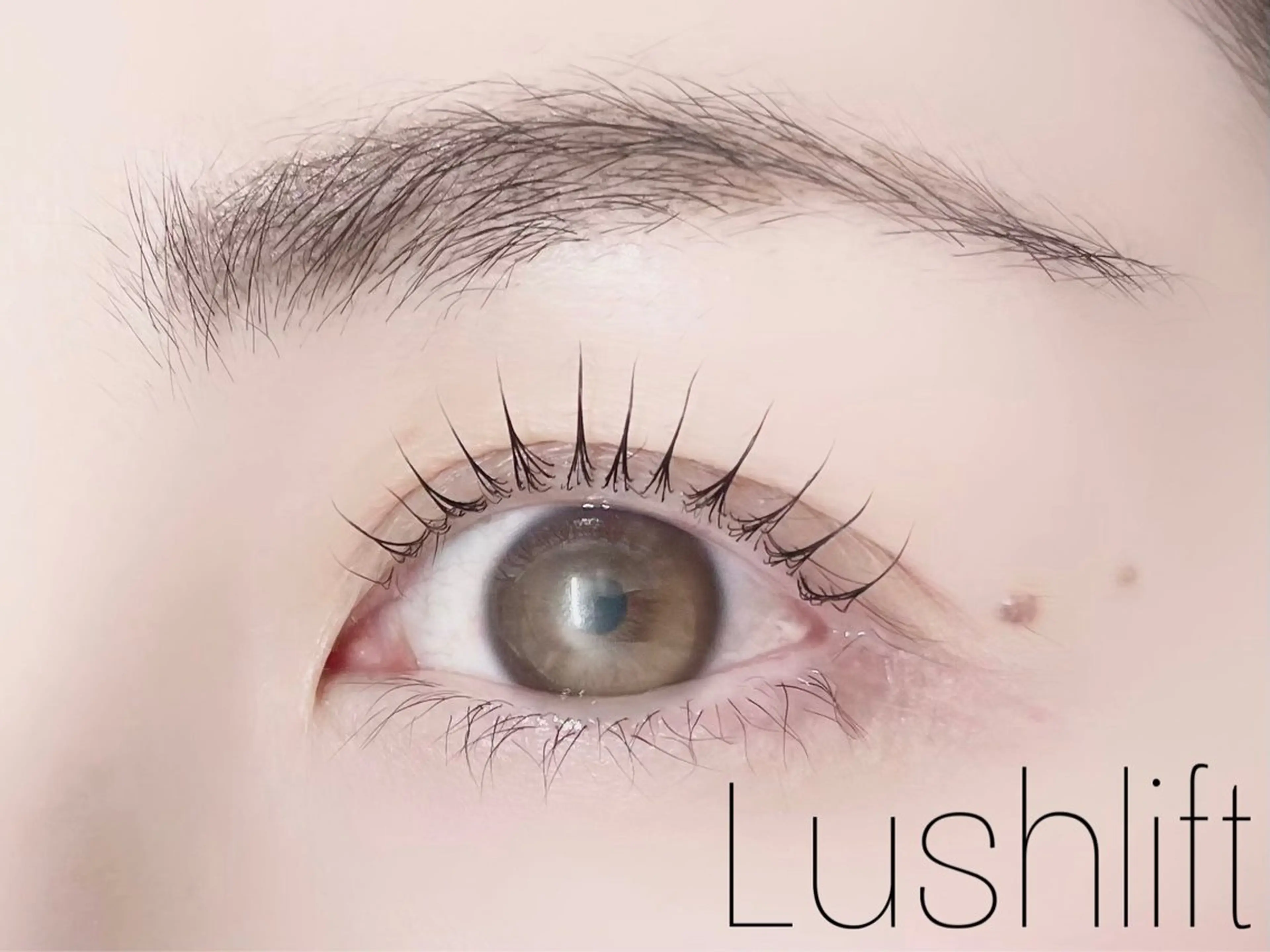 パーマ アイラッシュサロン Carina所属・水戸 SATOの眉毛・アイブロウイメージ