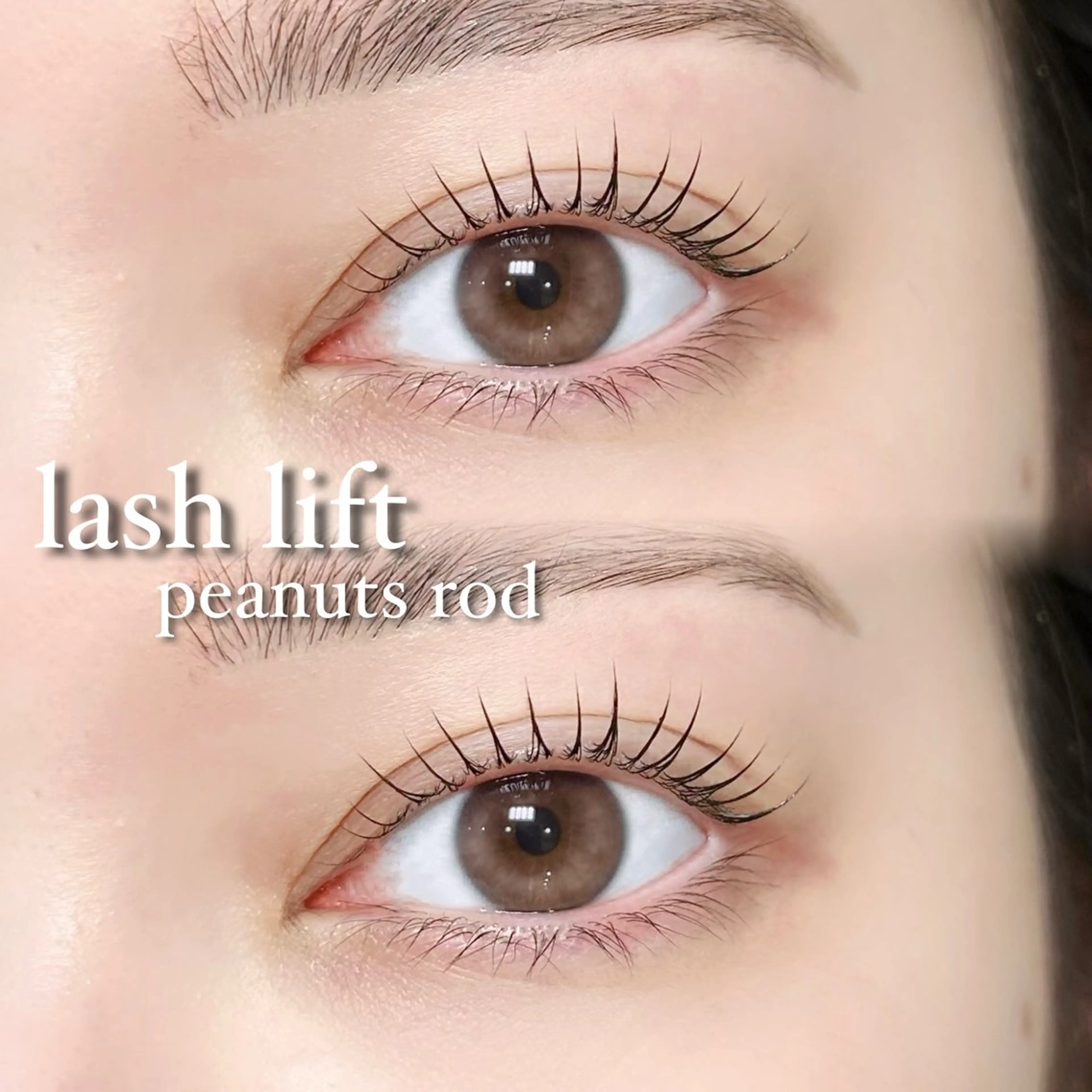 🩵眉毛スタイリング&まつ毛パーマ🩵の写真