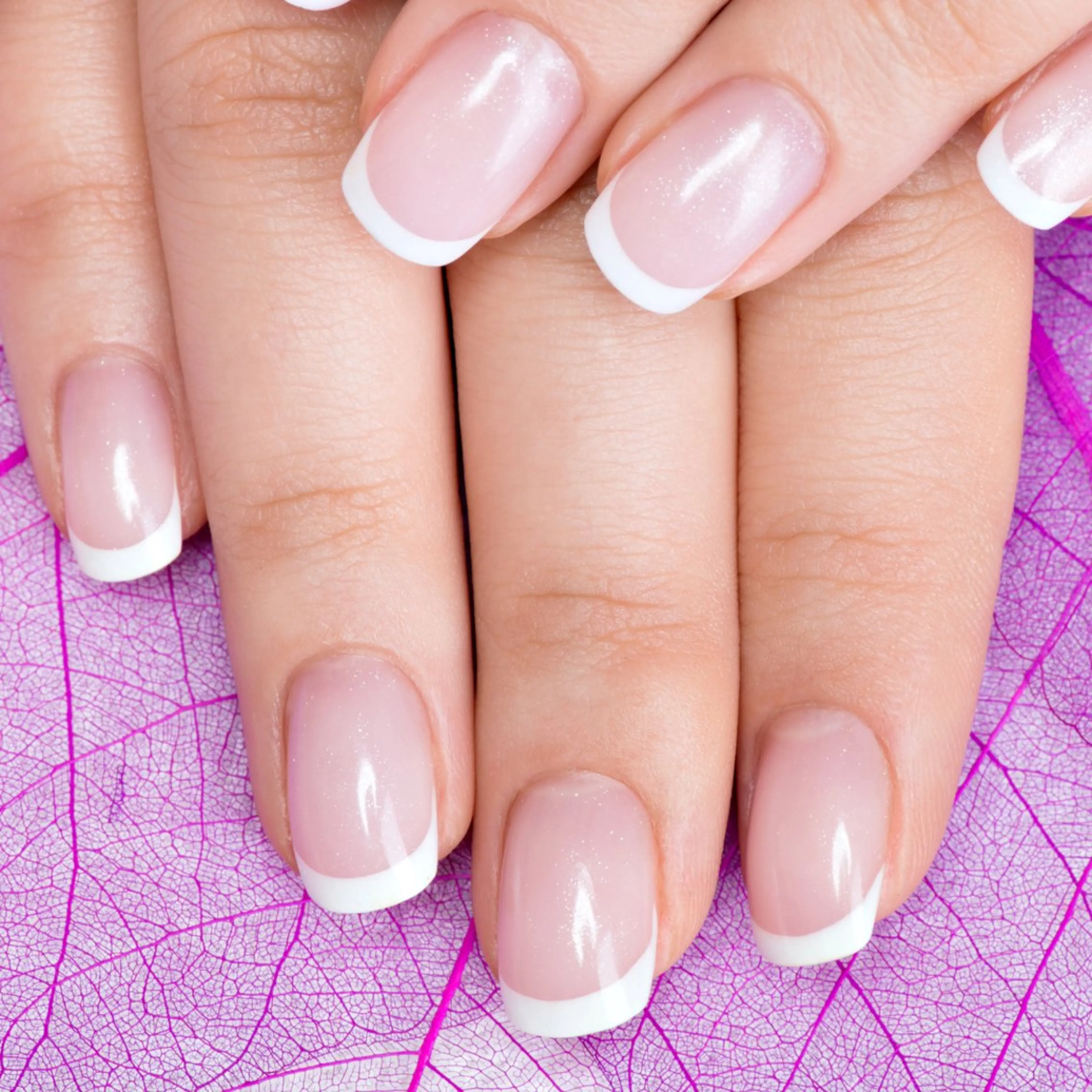 フレンチの写真