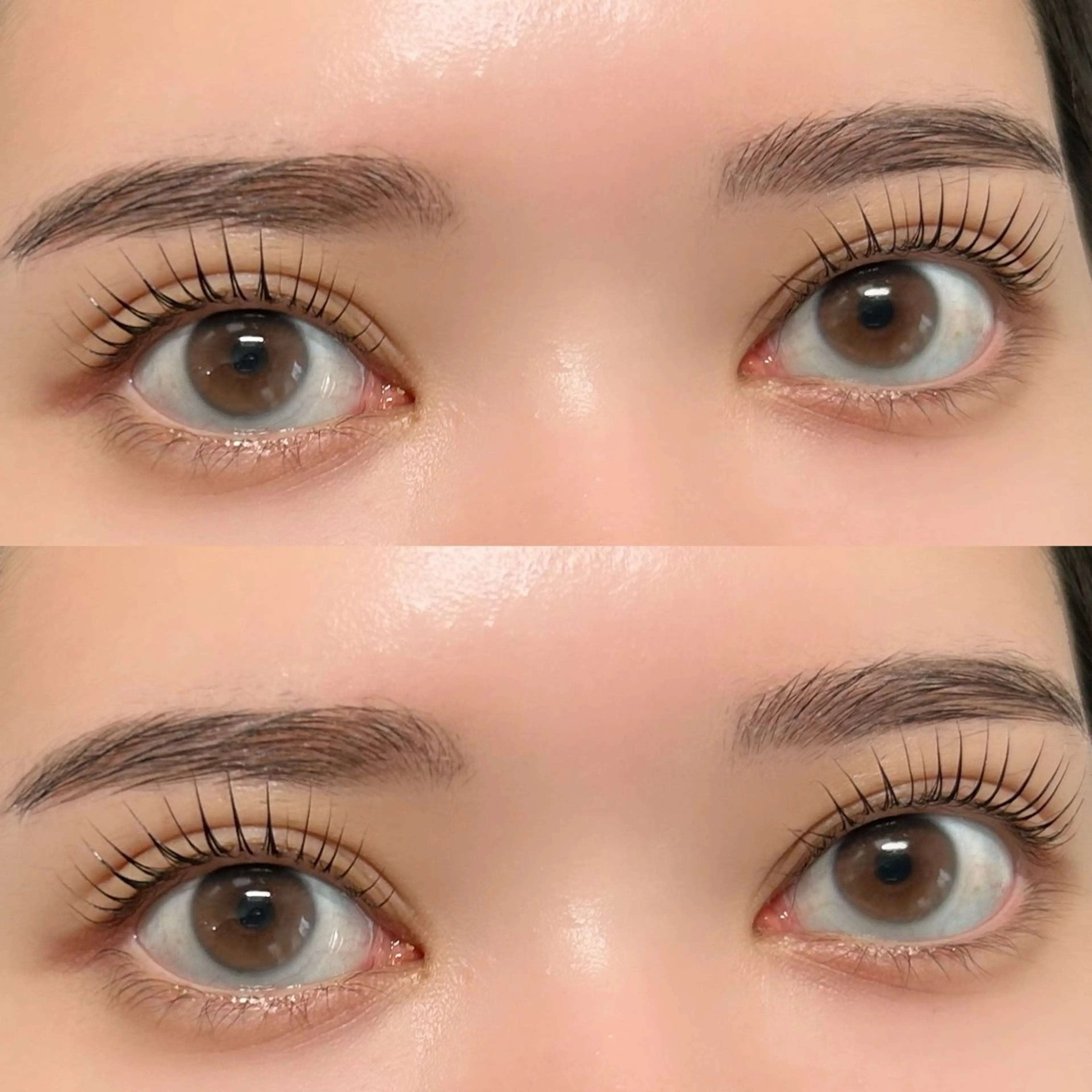 🩵パリジェンヌラッシュリフトorまつげパーマ🩵の写真