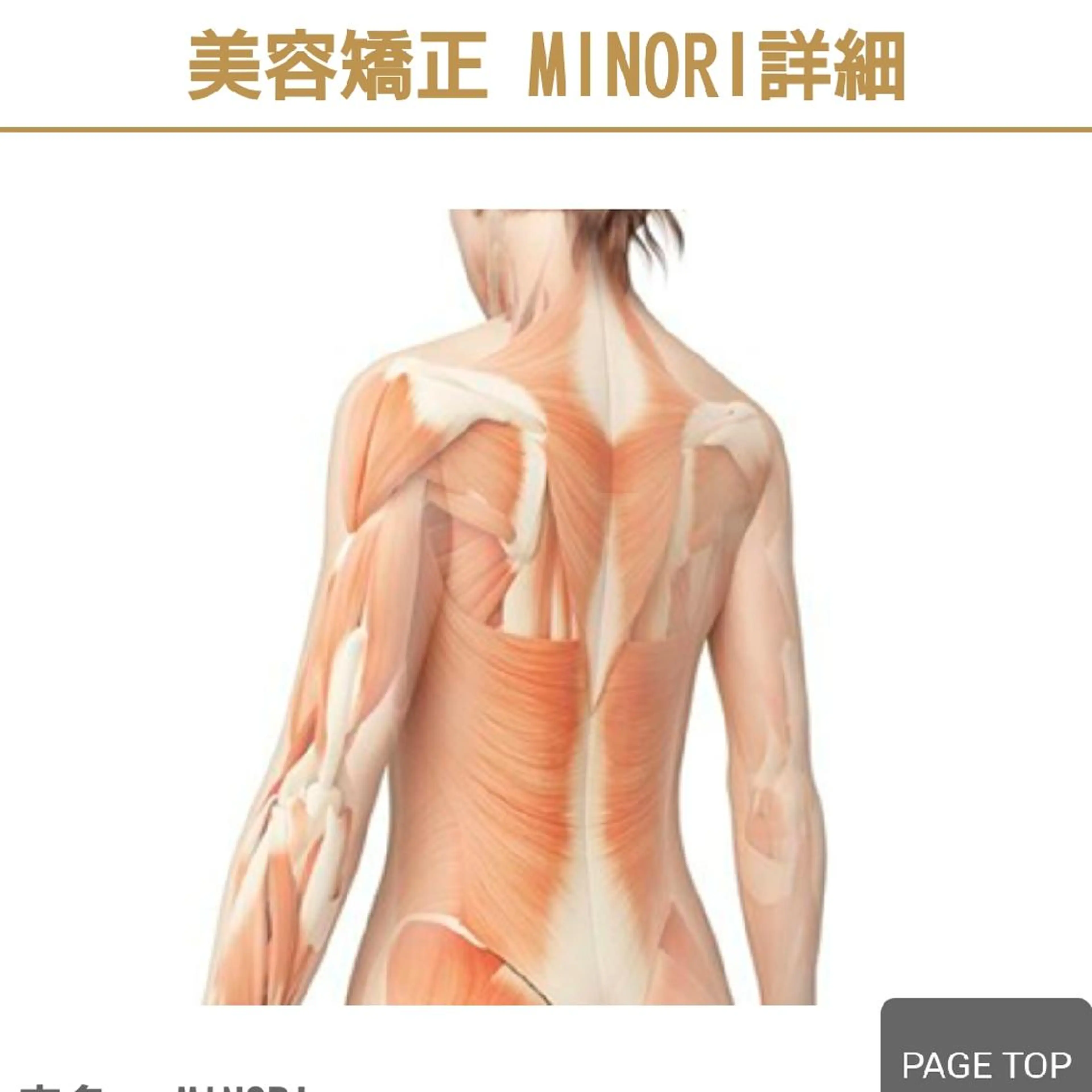 骨盤矯正+本格矯正　体質を本気で改善したい方コースの写真