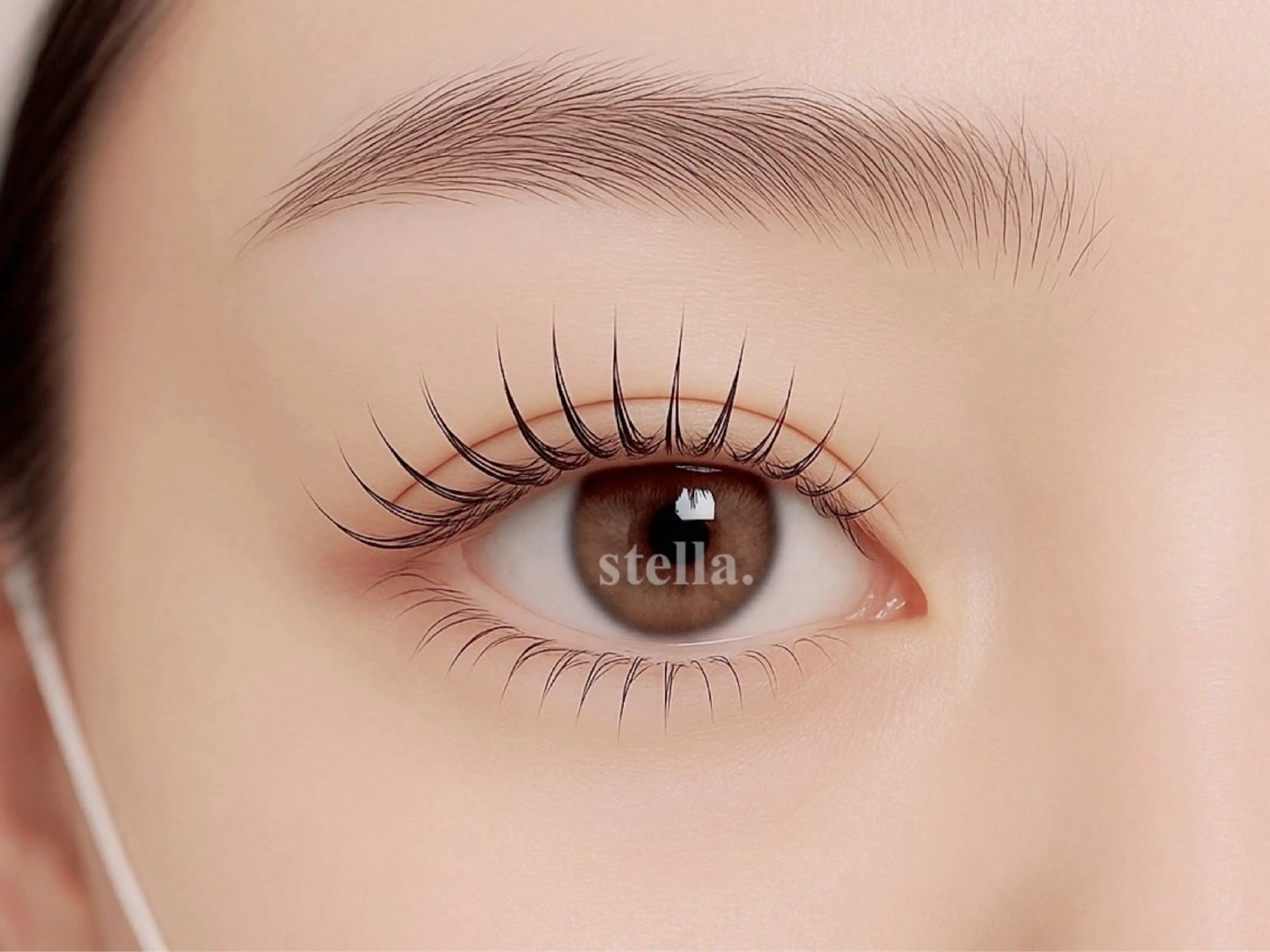 【韓国式🎀上下まつげパーマ】アイシャンプー/ケラチントリートメント/コーティング付‪💚の写真