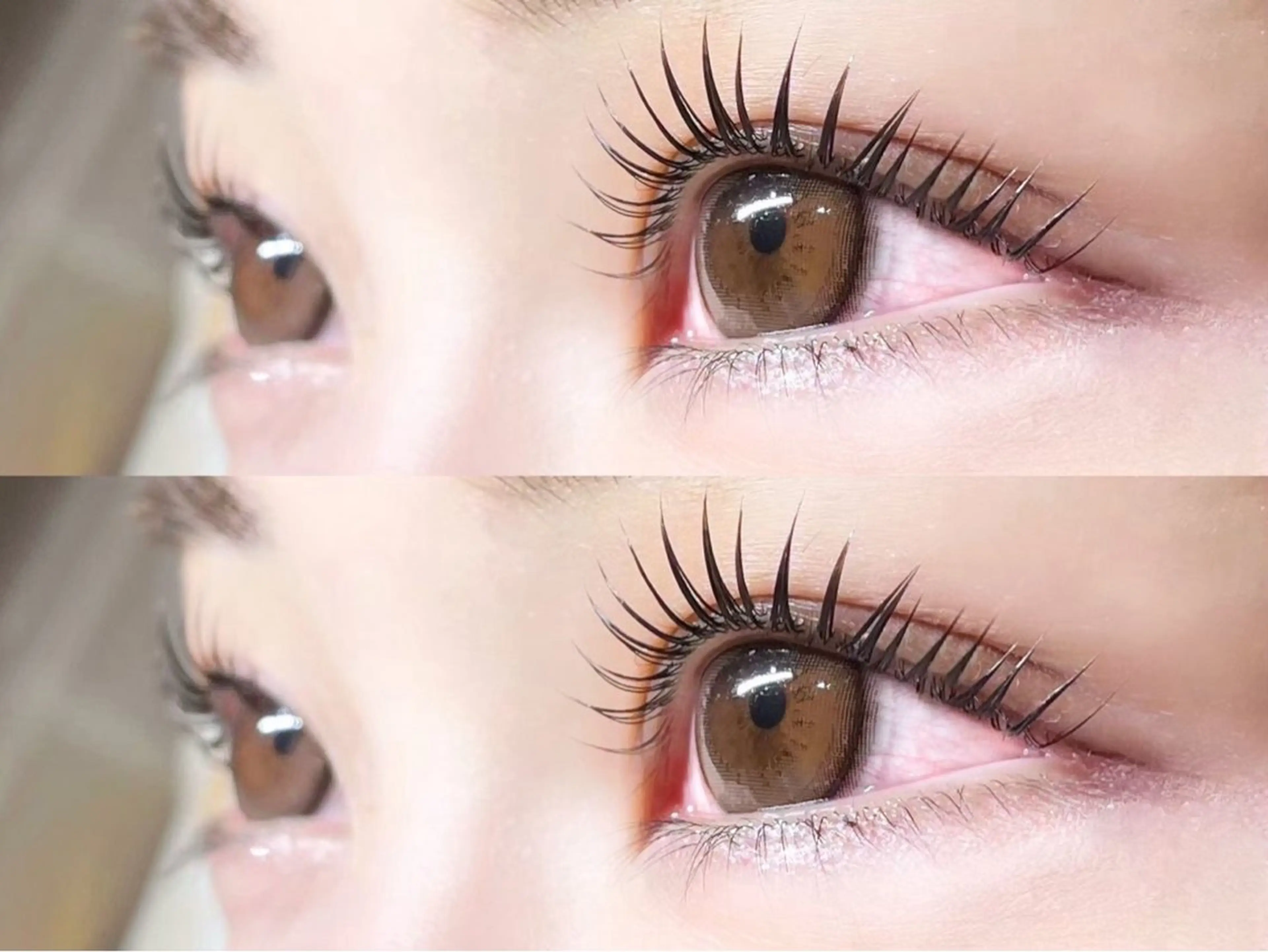 【10名様限定モデル様募集】まつげパーマの写真