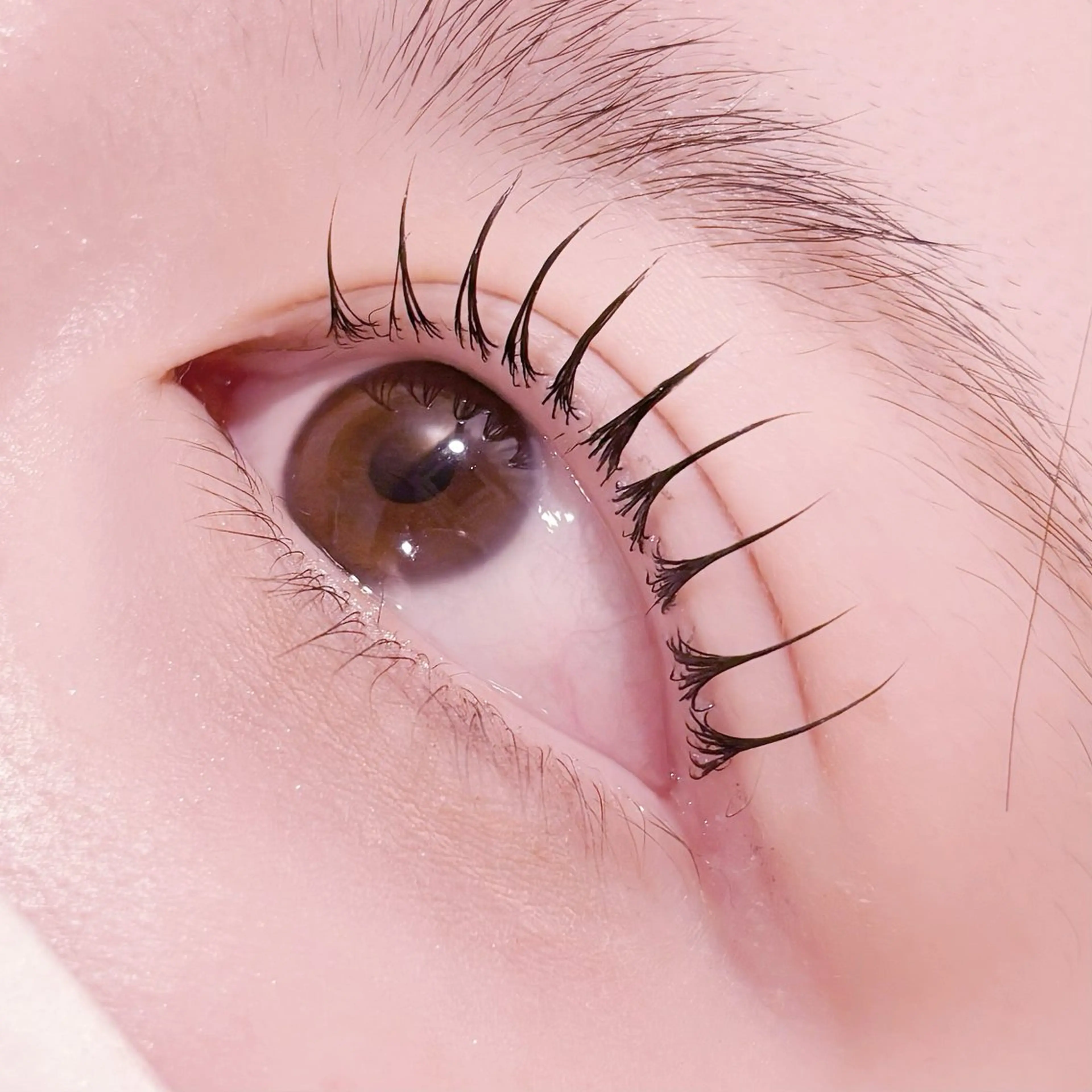 マツエク・マツパ pono大宮東口店 店長🩰AOHA🩰のマツエク・マツパデザイン