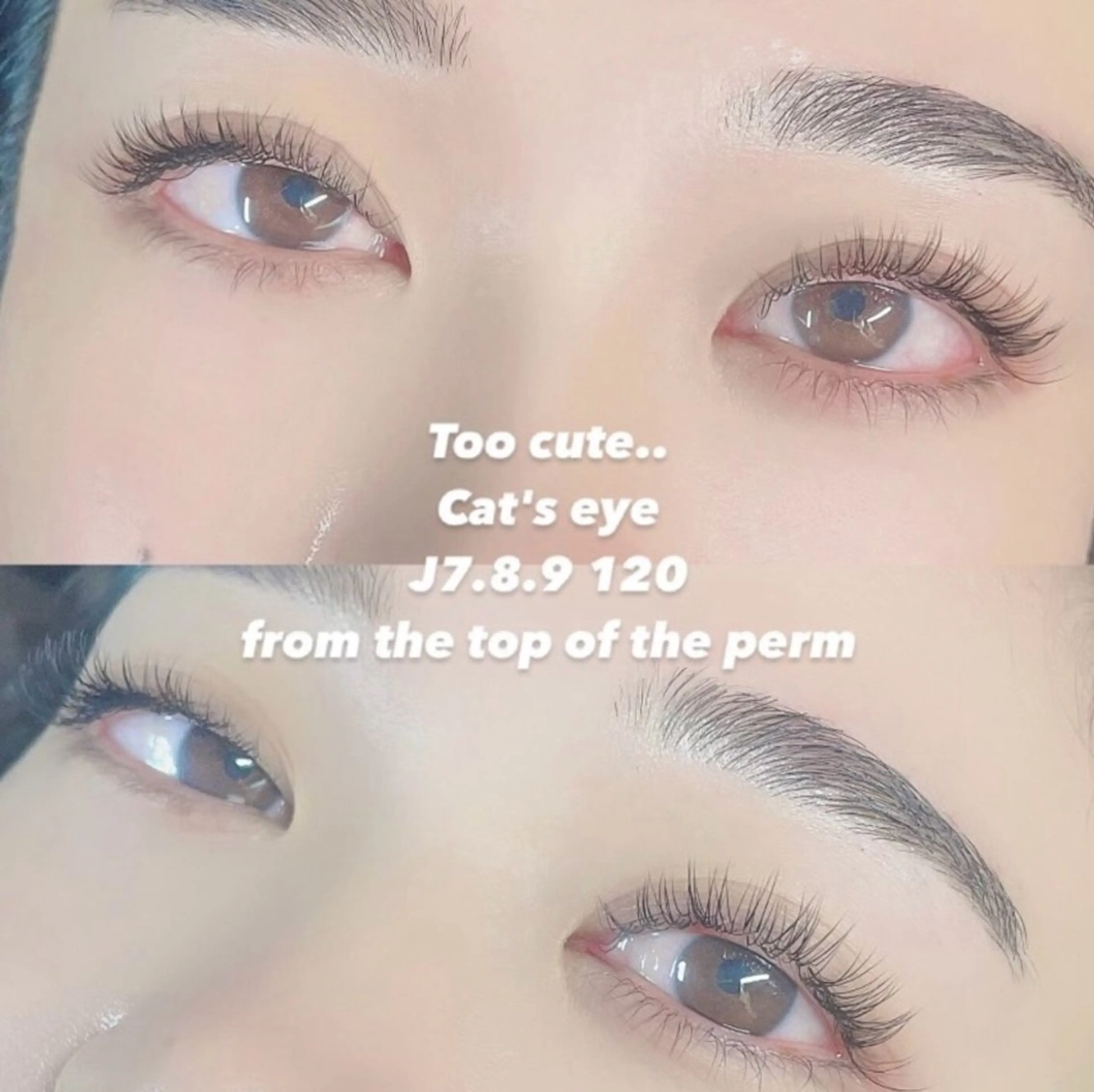 マツエク・マツパ putihTidur 二村乃愛の眉毛・アイブロウイメージ