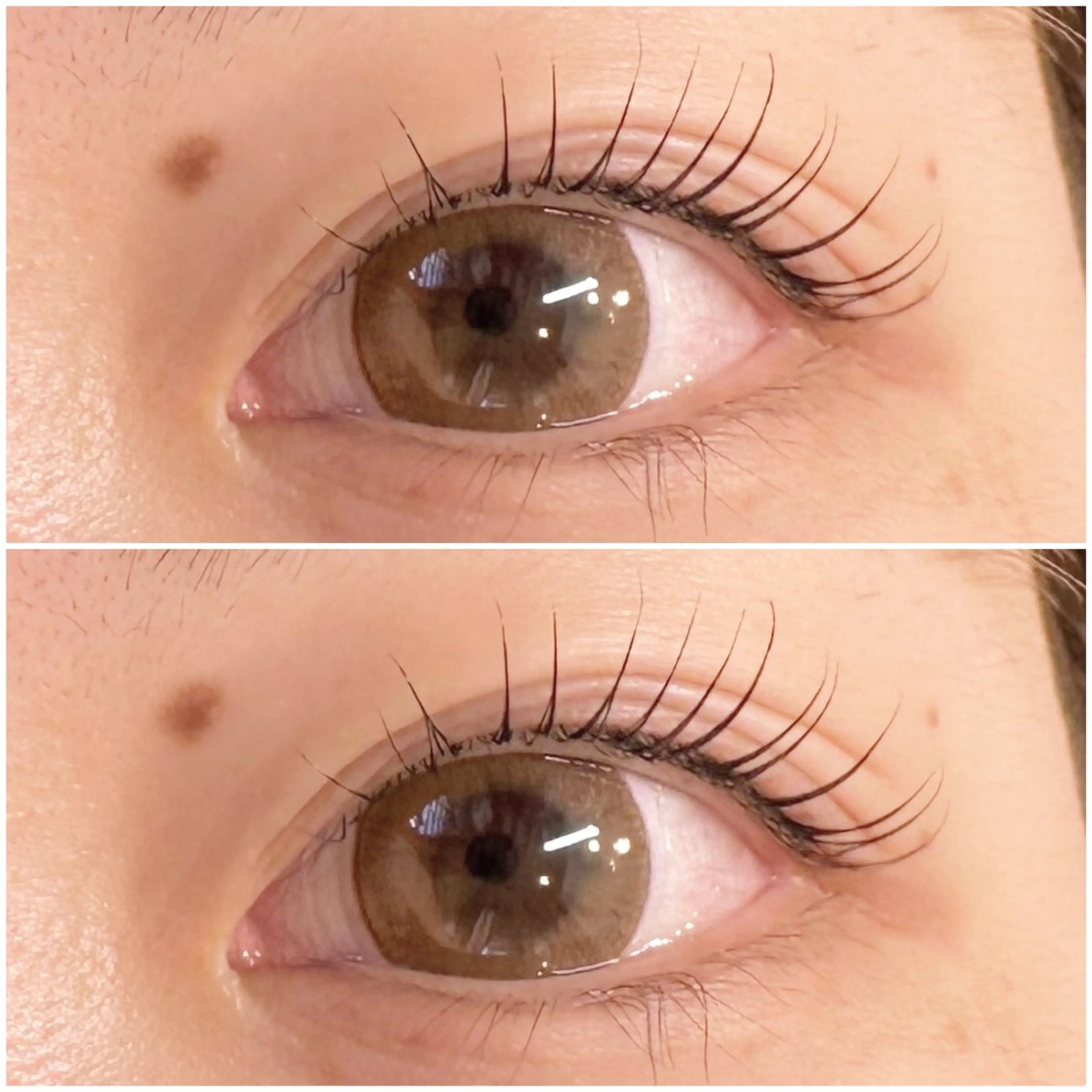 マツエク・マツパ eyelist 飯塚のマツエク・マツパデザイン