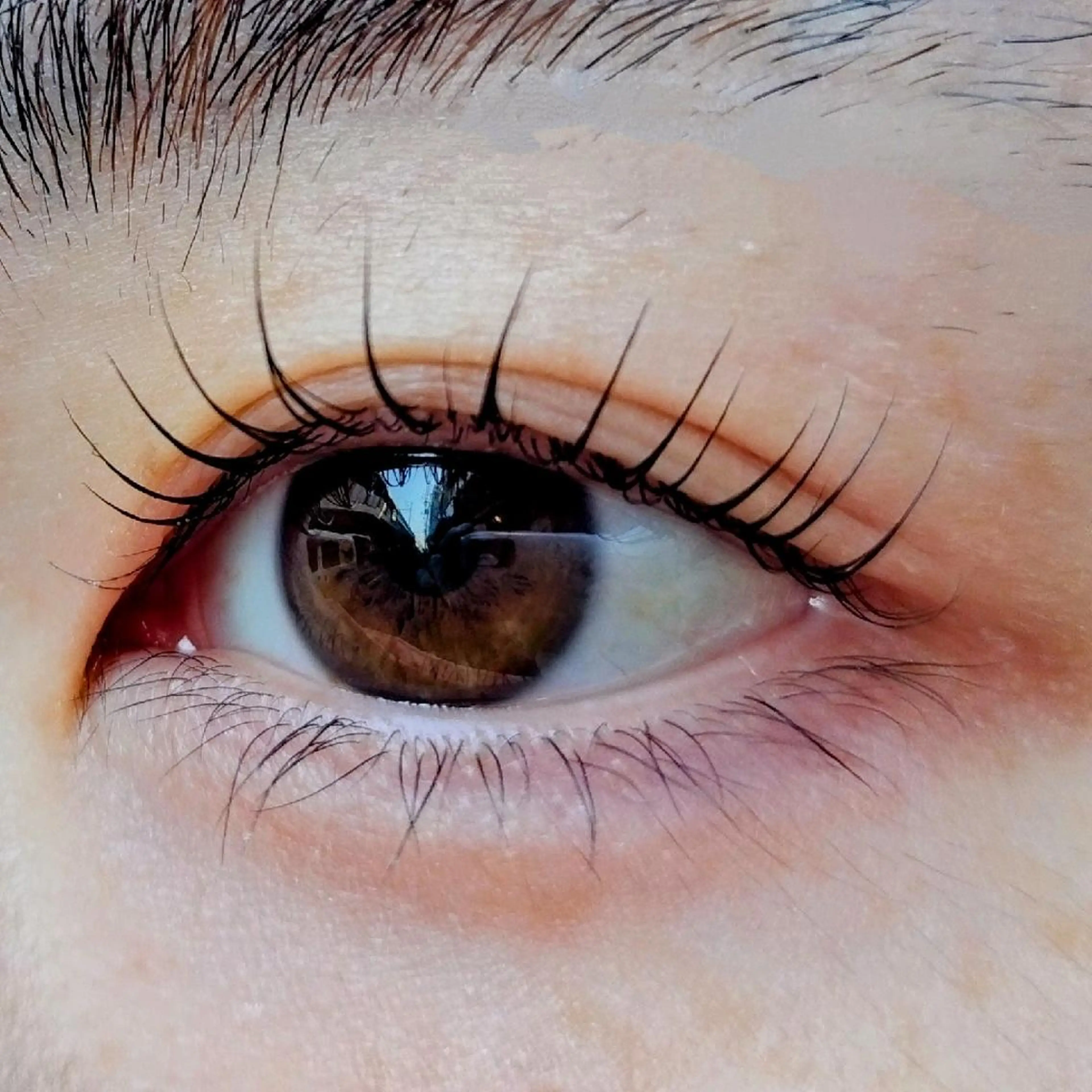 マツエク・マツパ パリジェンヌラッシュリフト Porte都立大学 🕊️✨のヘアスタイル