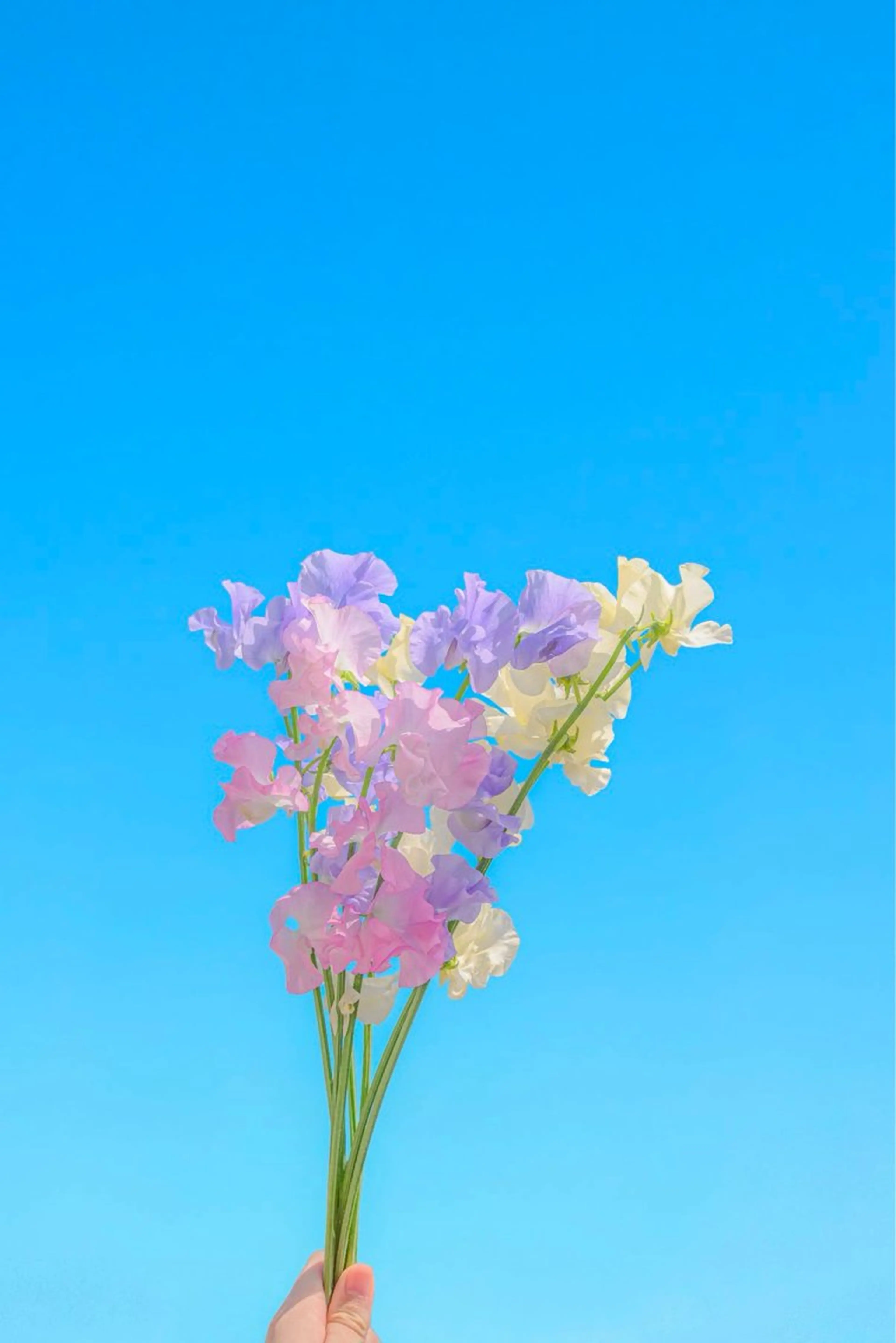 エステ リラク 高岡⌇ Ayaka🌻のエステ・リラクイメージ