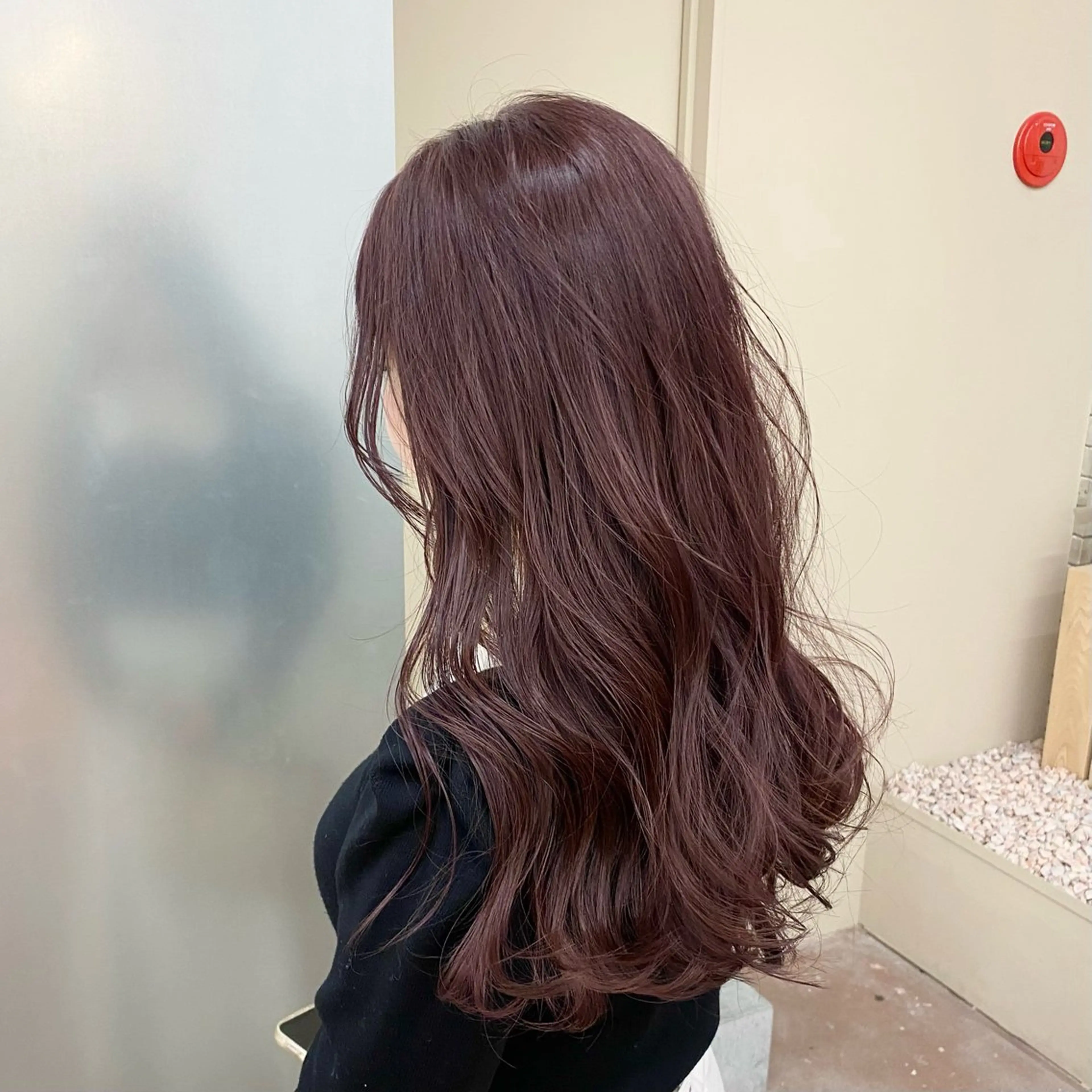 ロング カラー ラベンダーカラー ピンクカラー ピンクパープル ピンクラベンダー パープルカラー 伊藤朱音/栄/ レイヤーカットのヘアスタイル