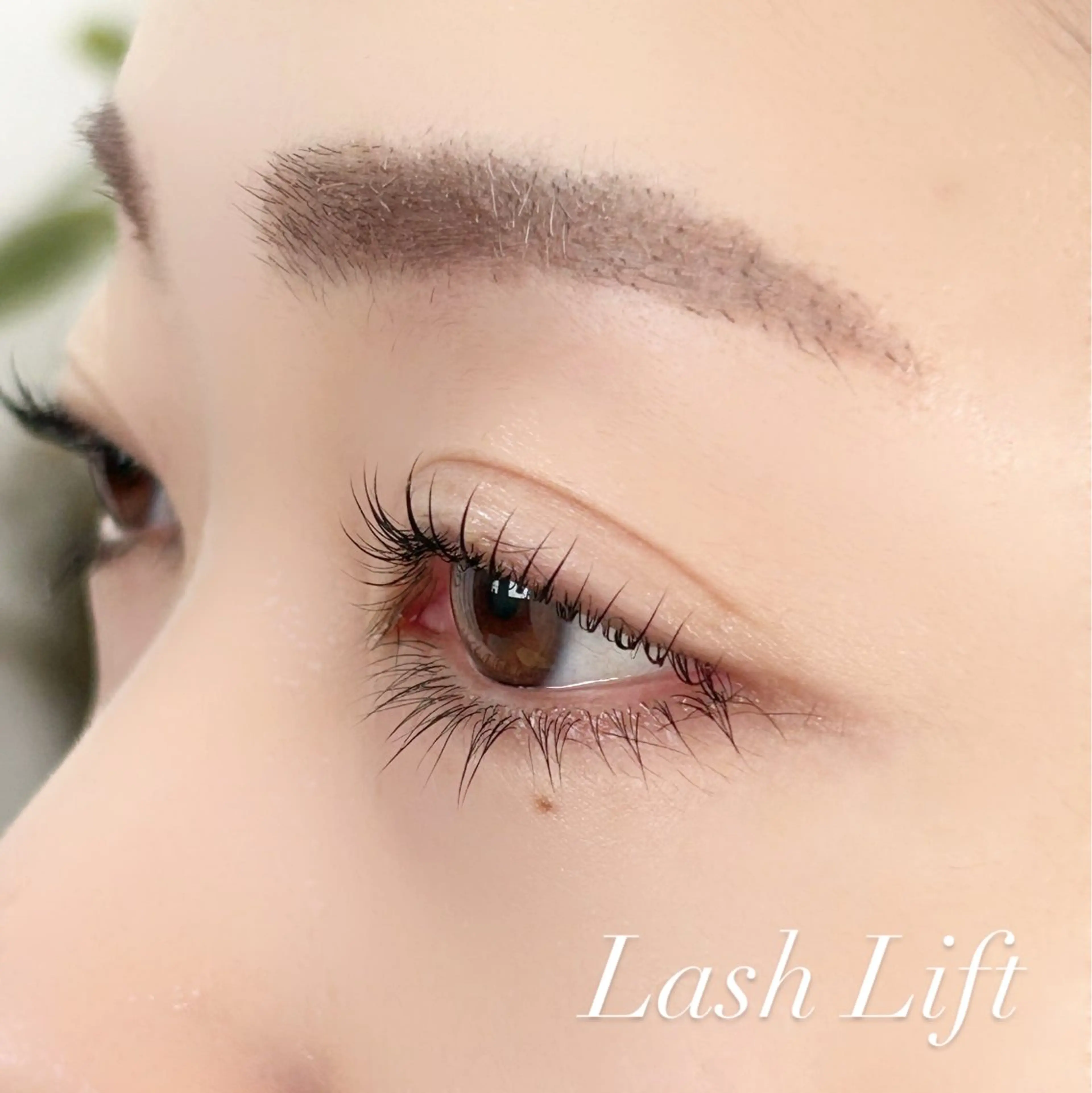 マツエク・マツパ L'UNIQUE所属・L'UNIQUE AOKIのマツエク・マツパデザイン