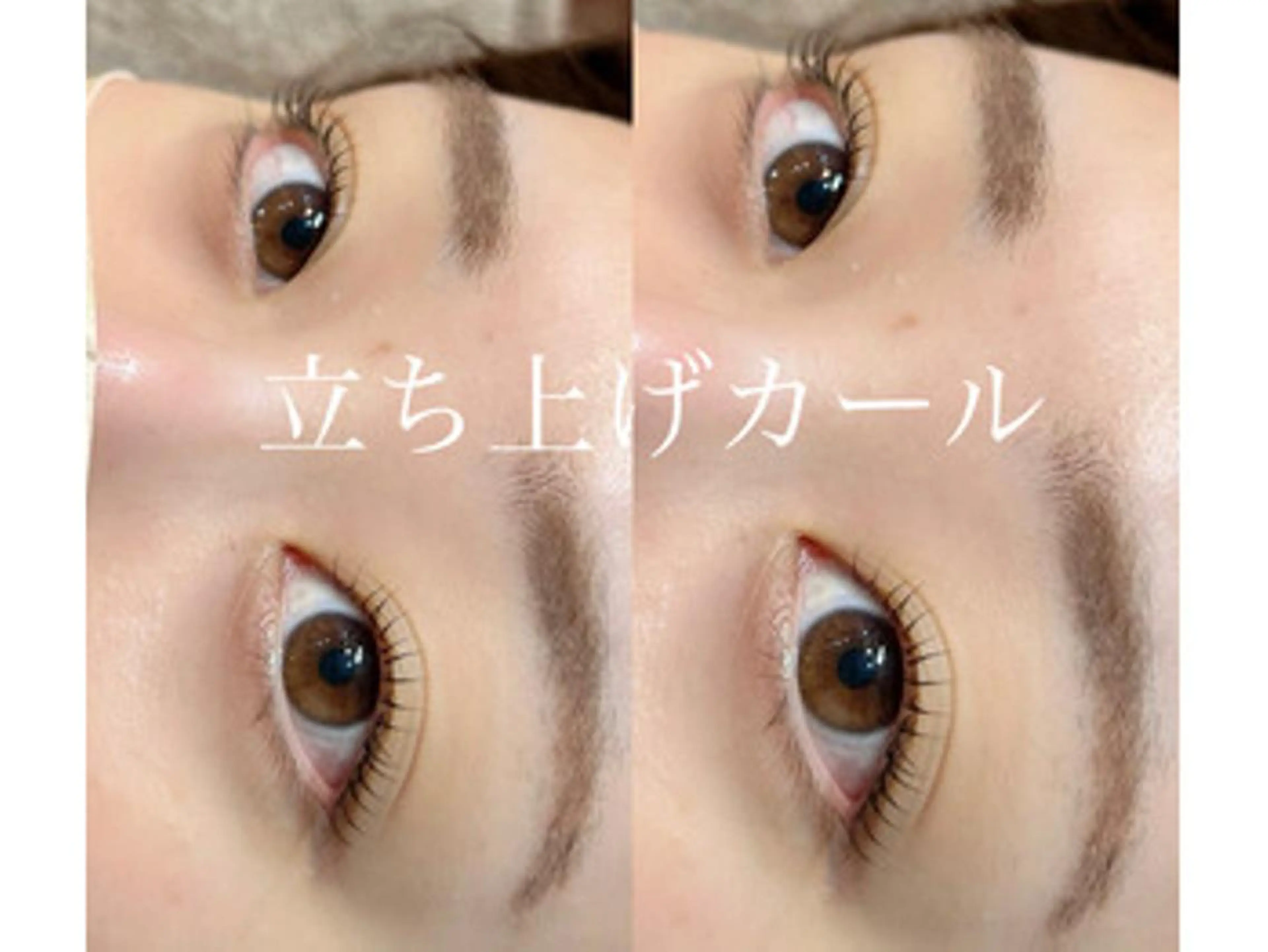 マツエク・マツパ 一重×まつ毛パーマ マツパ 谷本望 /宝塚eyelashの眉毛・アイブロウイメージ