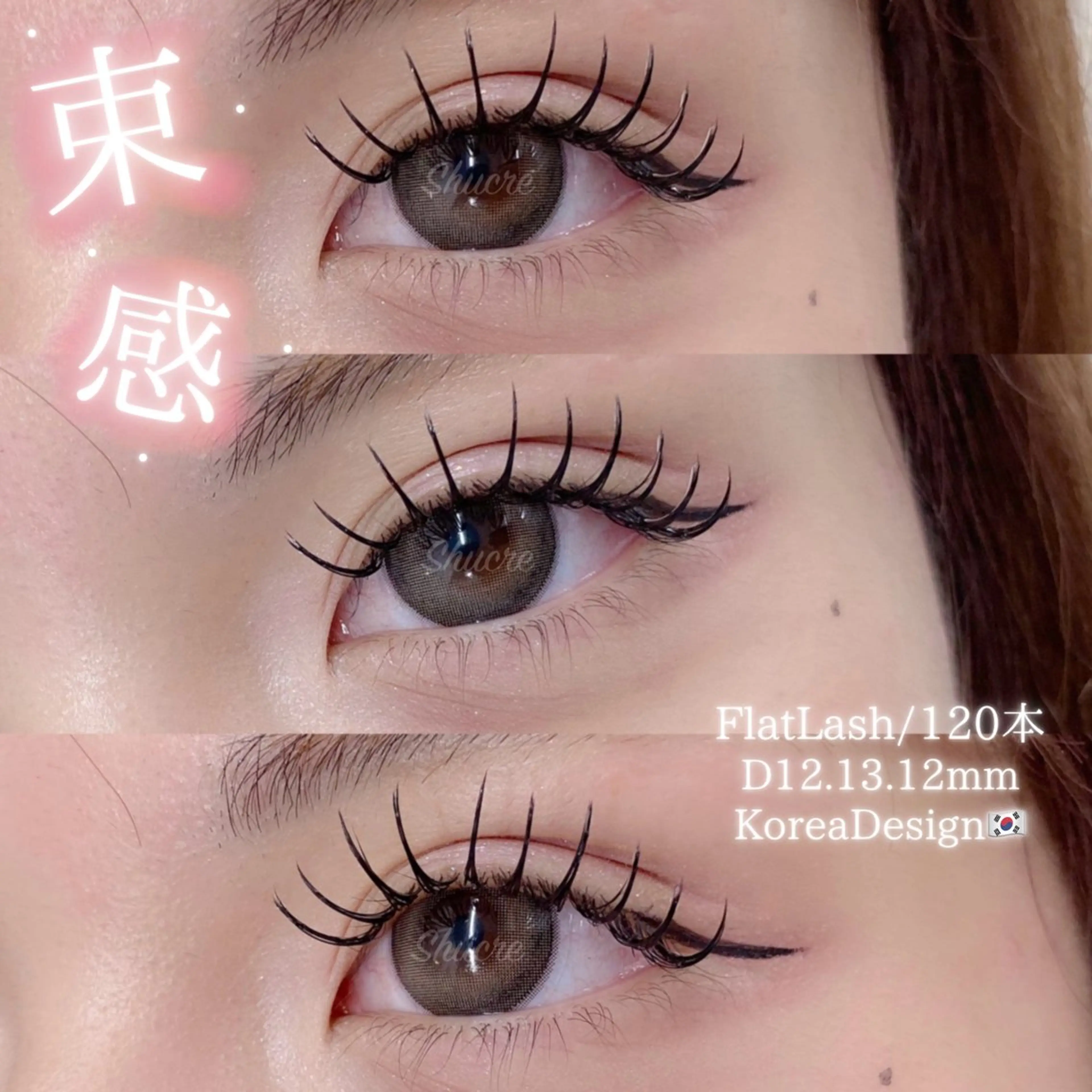 📍本日12/11限定 ̖́-韓国風🇰🇷W Flat Lash 120本/束感仕上げ🩷【オフなし】の写真