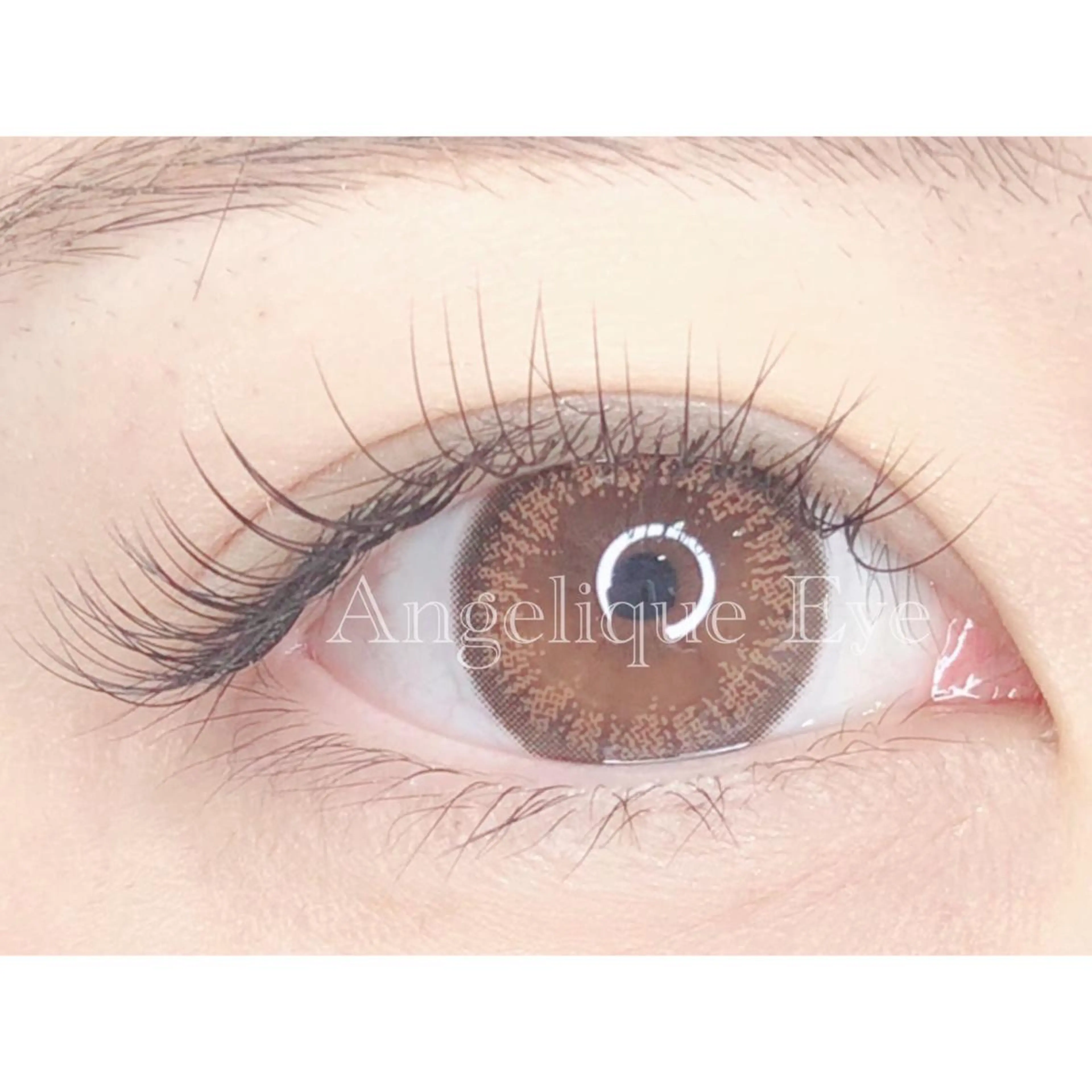 最高級セーブル🫧１２０本まで🫧の写真