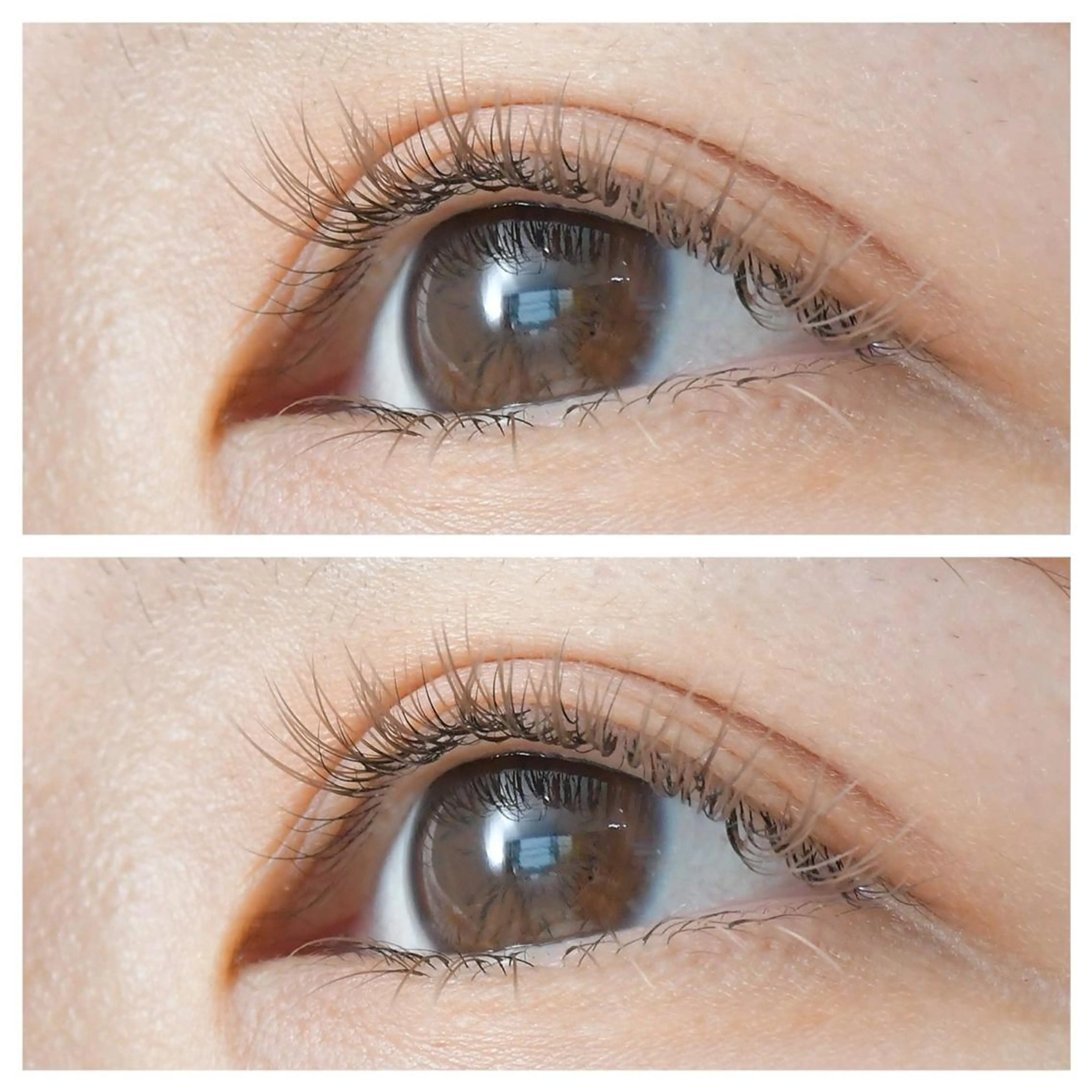 マツエク・マツパ 🫧Ramo 大宮店🍒のマツエク・マツパデザイン