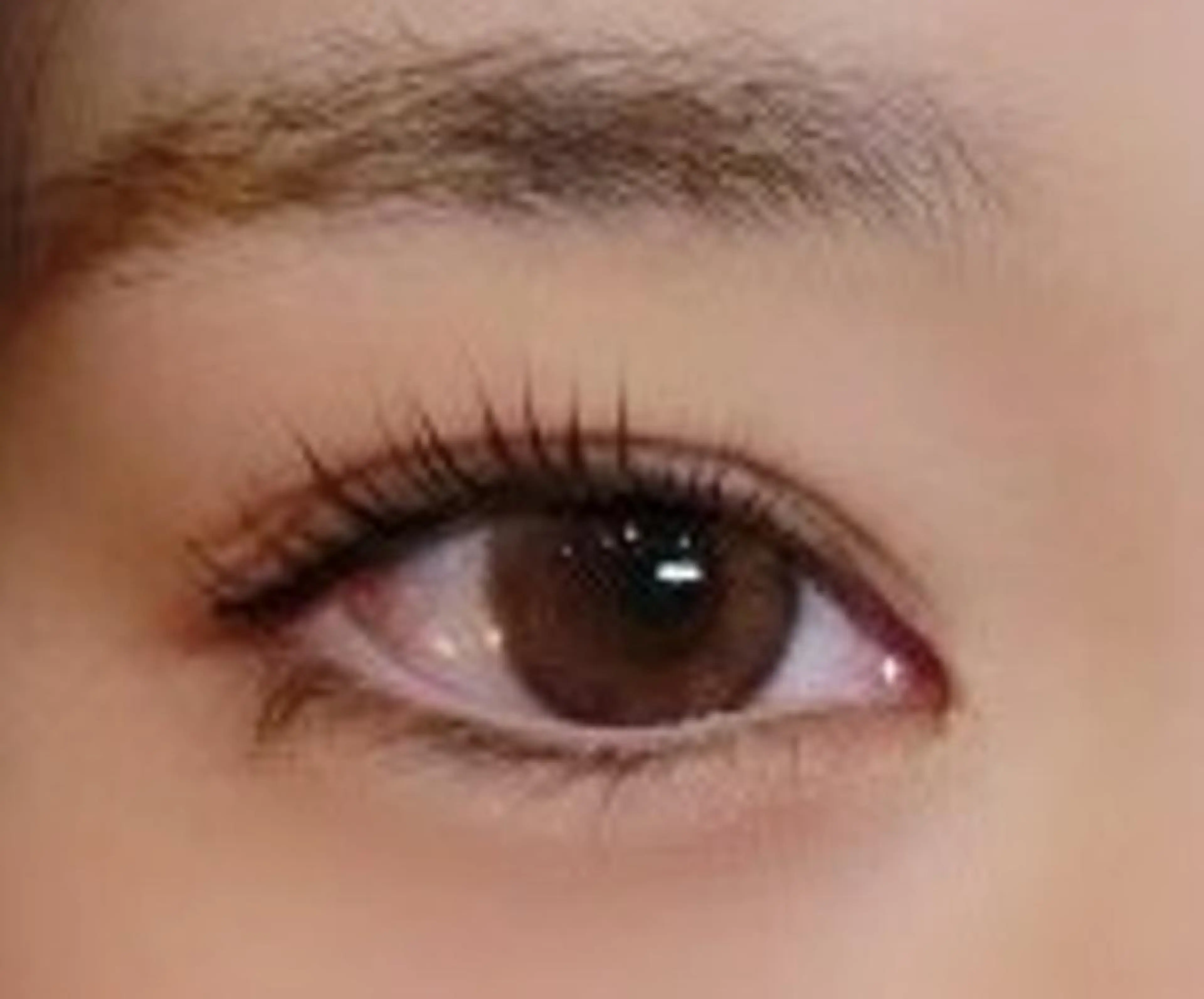 マツエク・マツパ アンジェリーク  のネイルデザイン