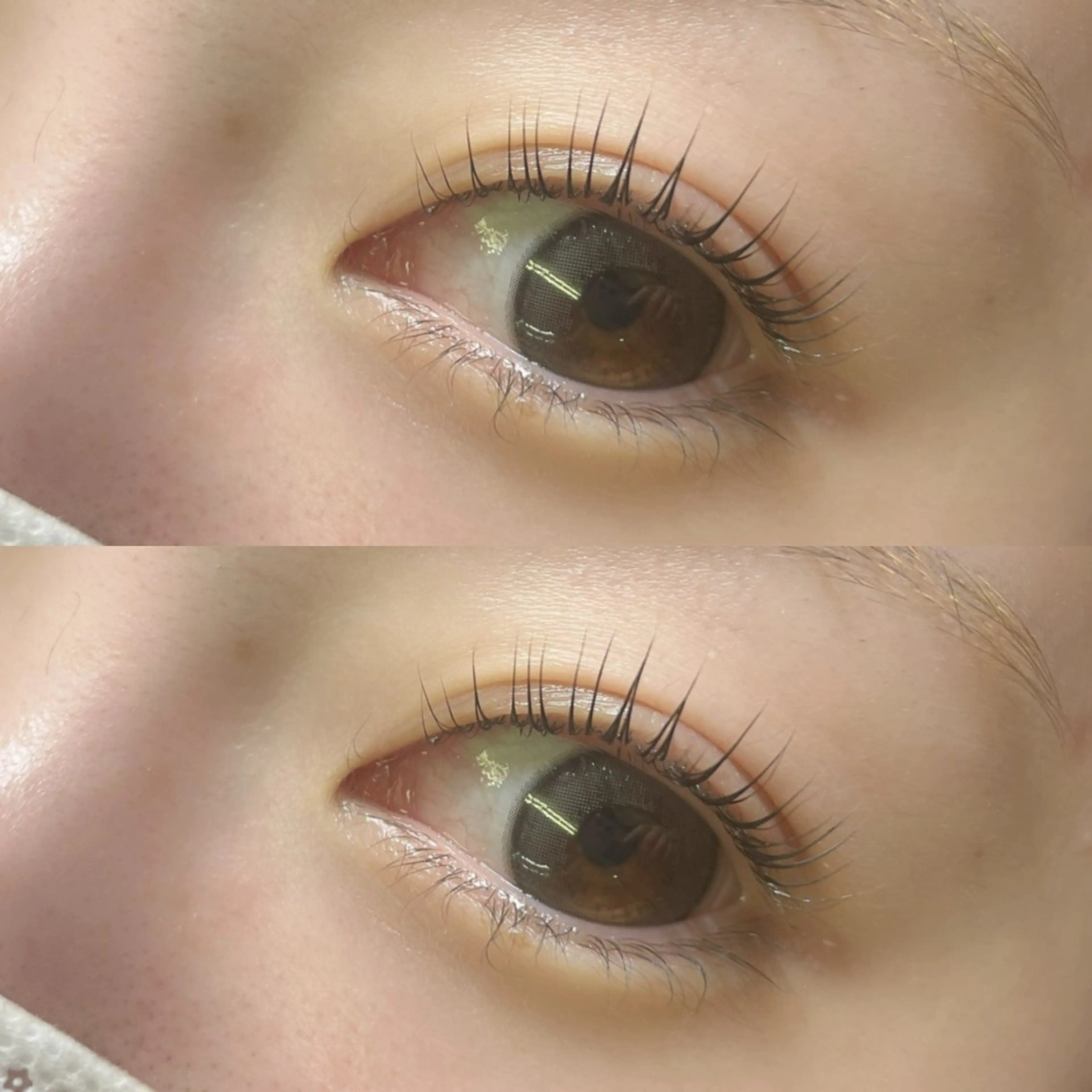 マツエク・マツパ マツパ リフュージュ　隠れ家所属・リフュージュ🌷 カホのマツエク・マツパデザイン