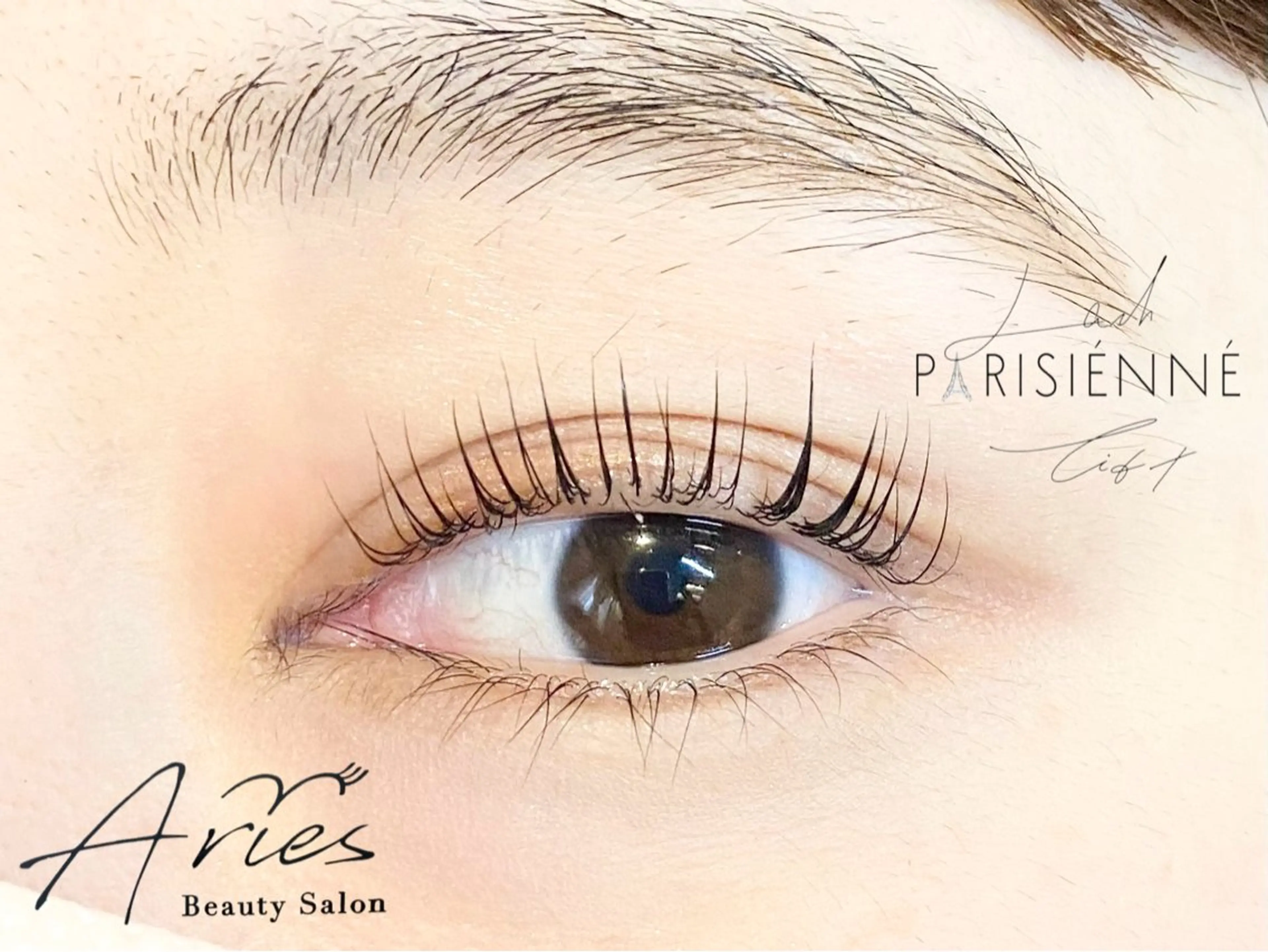 マツエク・マツパ Aries 恵比寿店所属・Aries/ 恵比寿のマツエク・マツパデザイン