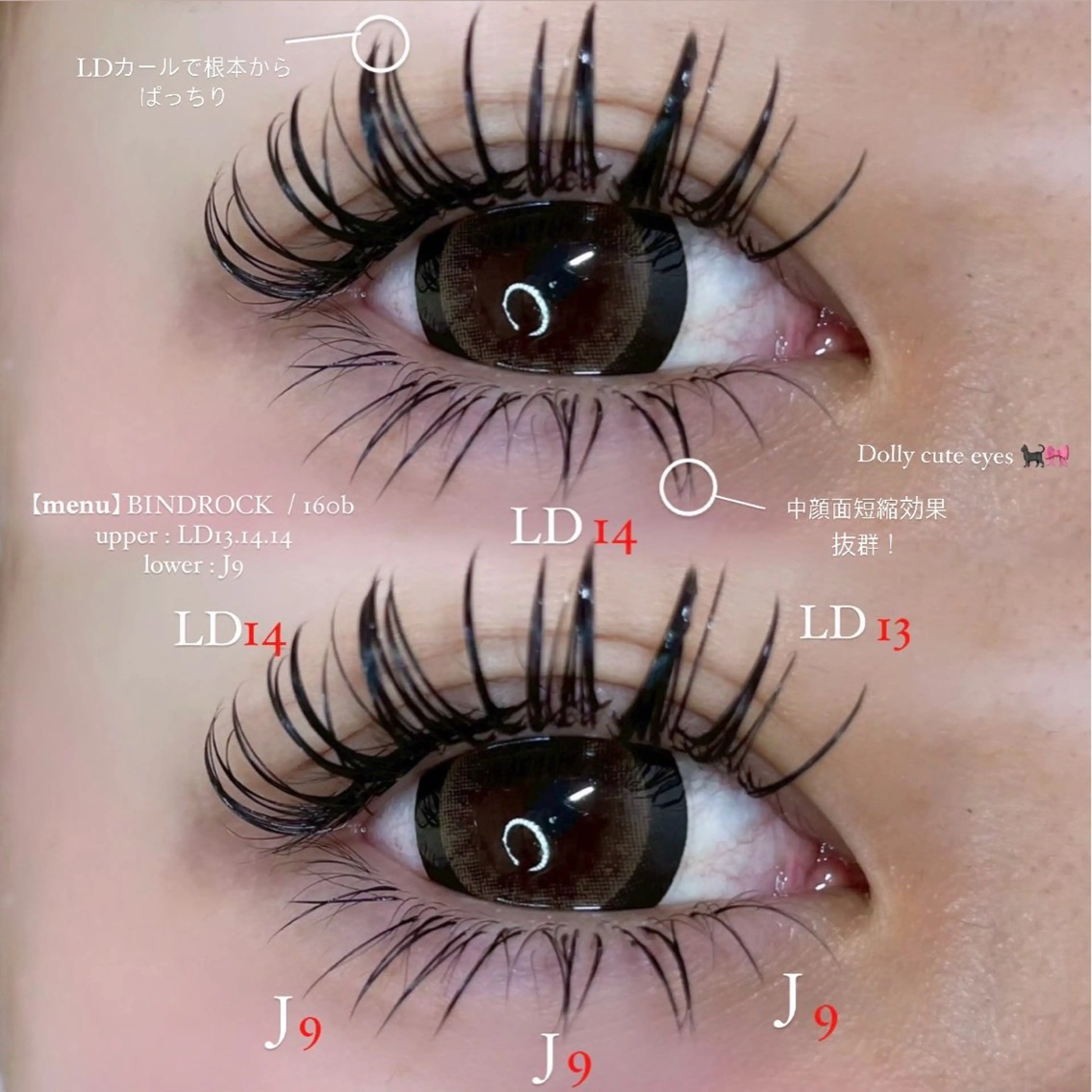 マツエク・マツパ 付け放題 バインドロック Dカール マツエク eyelash salon eye:ne所属・eyelash eye:neのマツエク・マツパデザイン