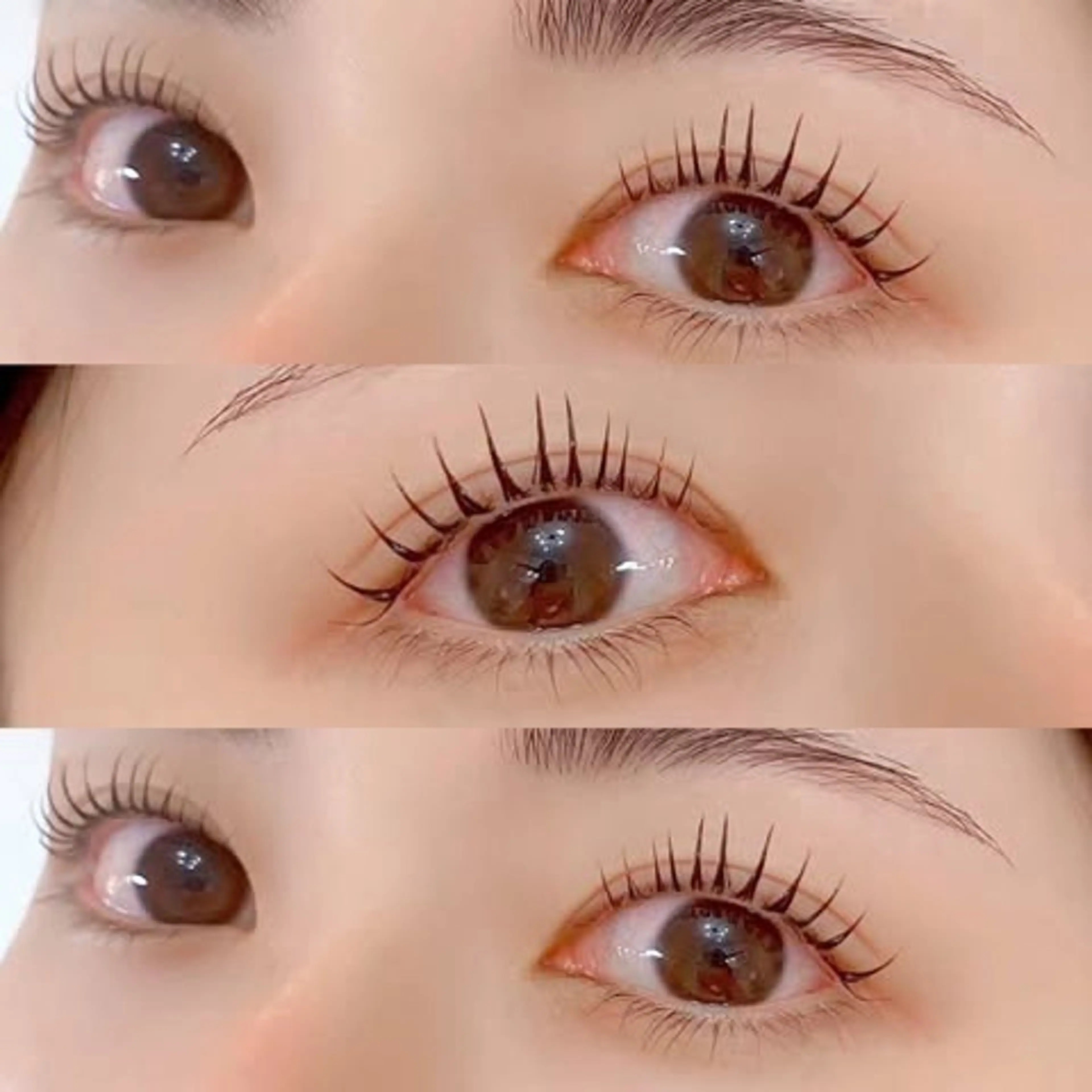 マスカラパーマ🐻🤎【形キープコーティング付き】の写真