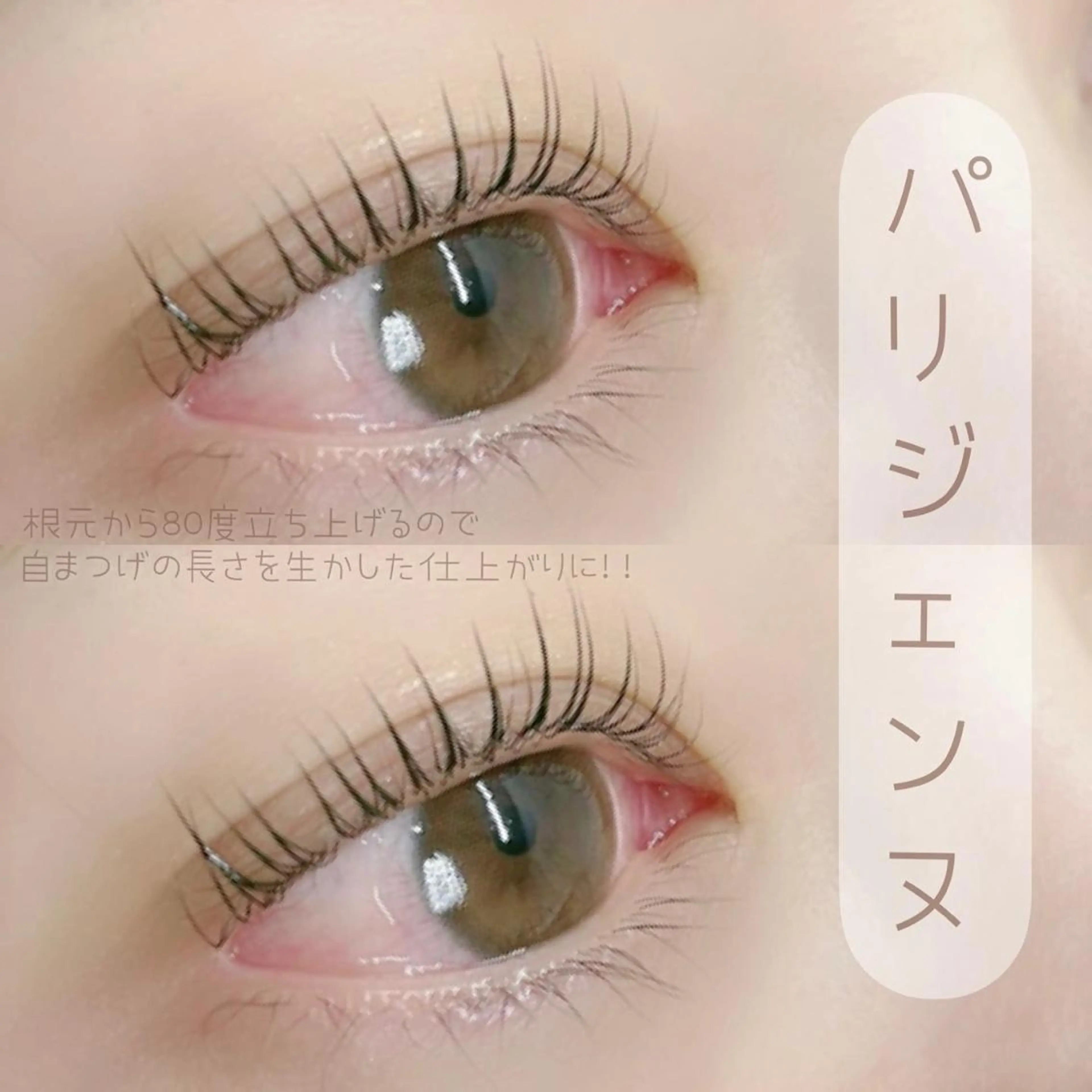 マツエク・マツパ パリジェンヌラッシュリフト Mylamination所属・ゆーな ‎🎀 浅草のマツエク・マツパデザイン