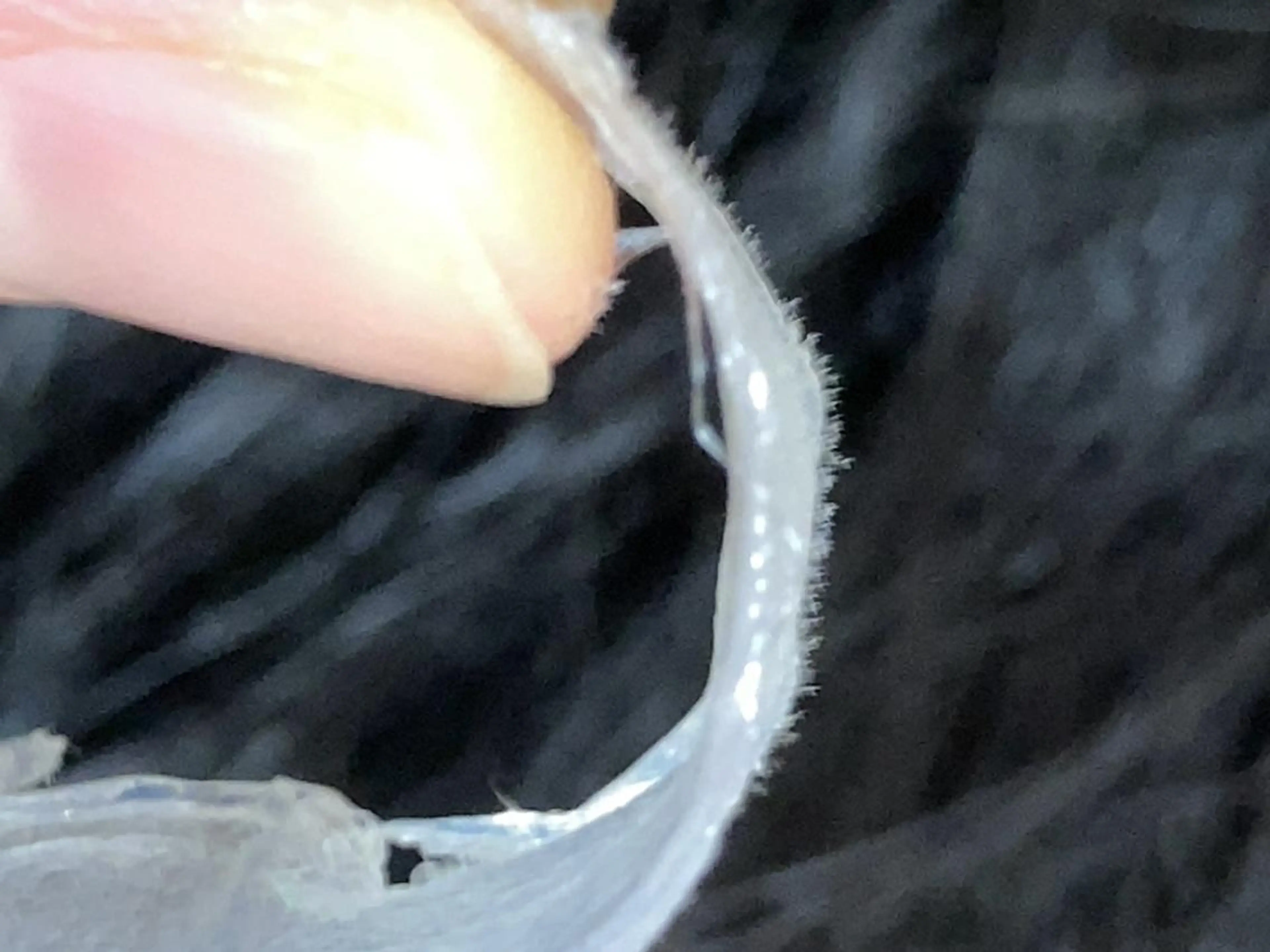 脱毛 産毛専門店 Bittoのエステ・リラクイメージ