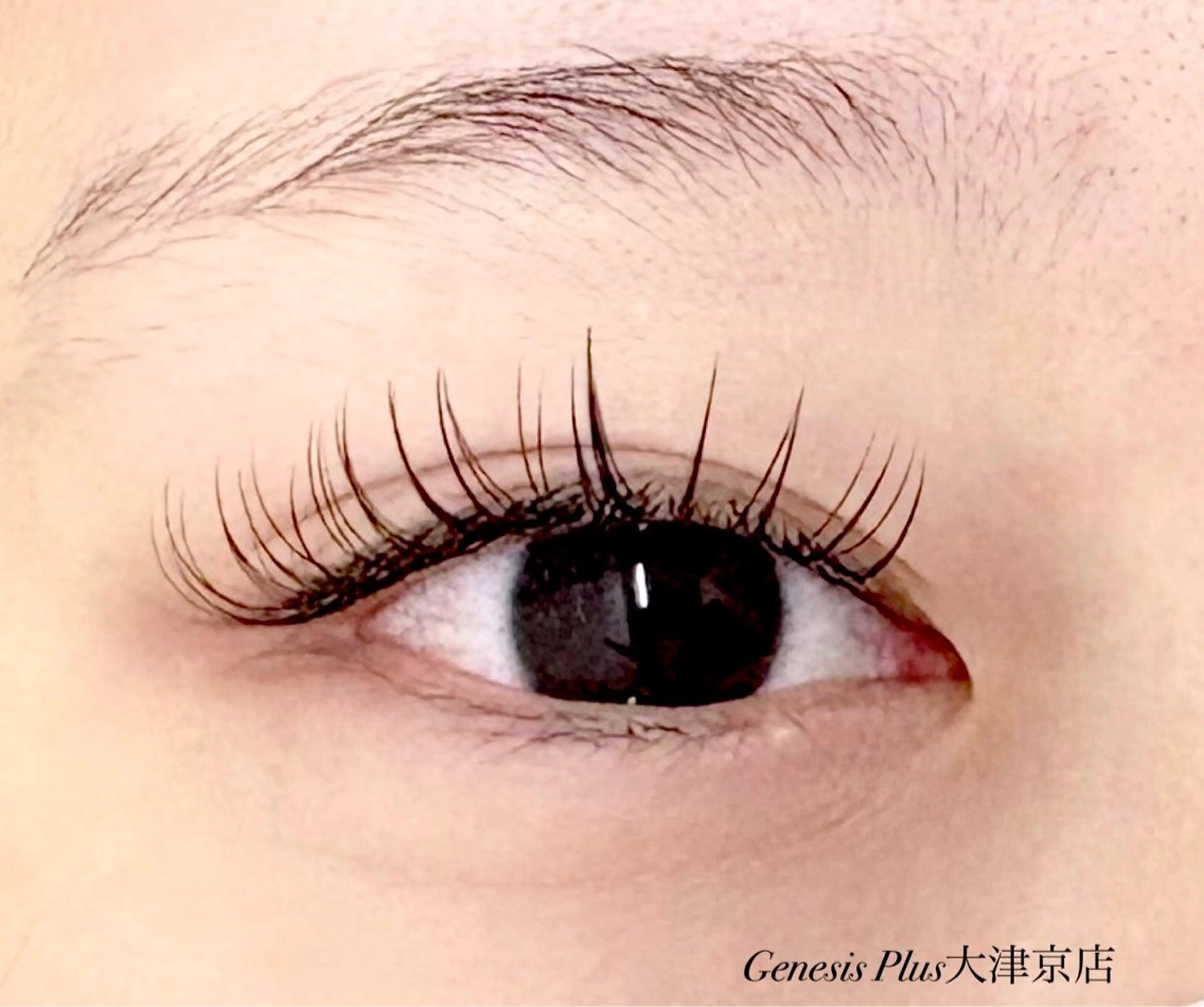 マツエク・マツパ フラットラッシュ Genesis Plus大津京店のマツエク・マツパデザイン