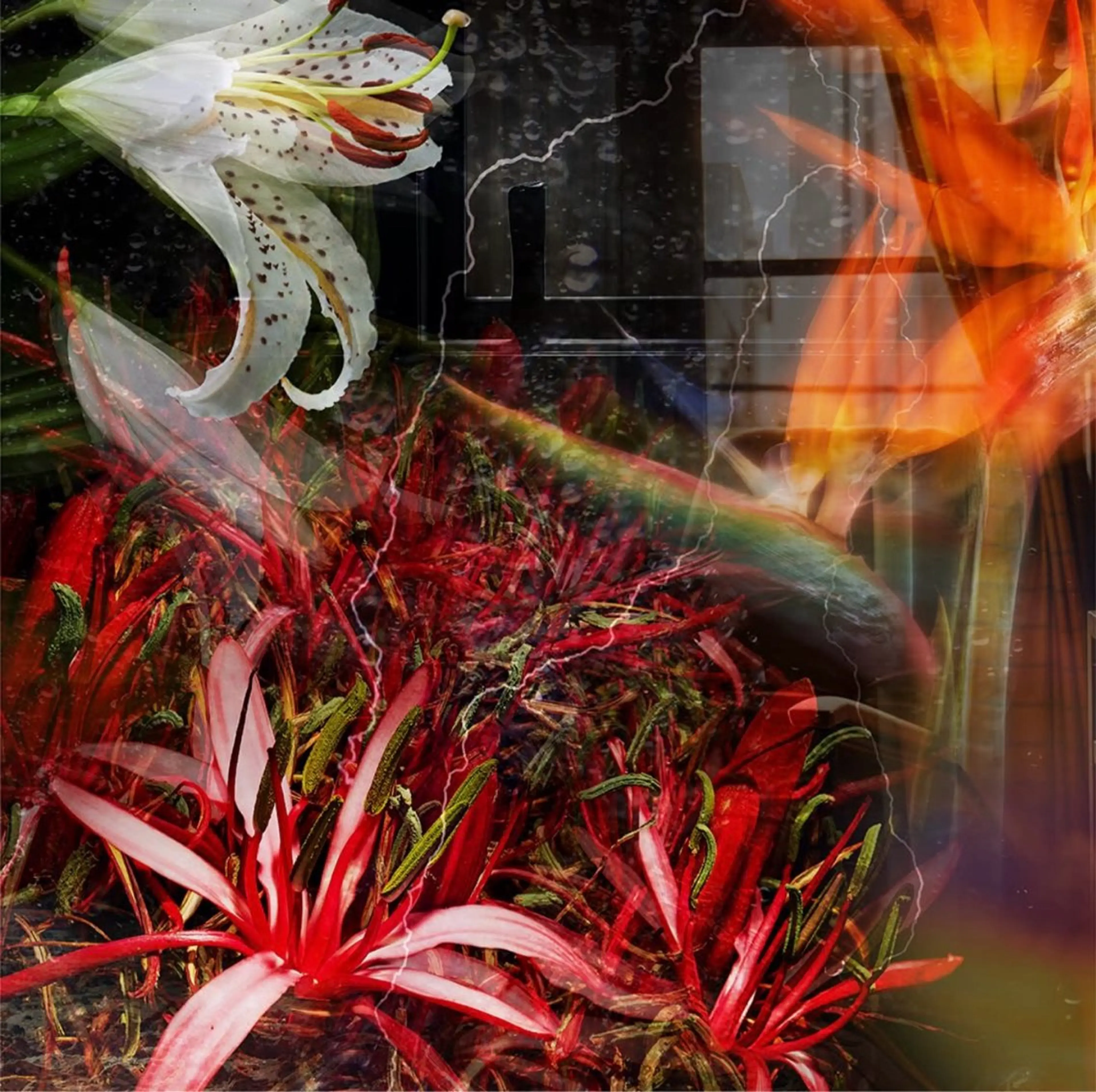 POLA THE BEAUTY 多治見けやき通り店所属・多治見店POLA 大島のエステ・リラクイメージ