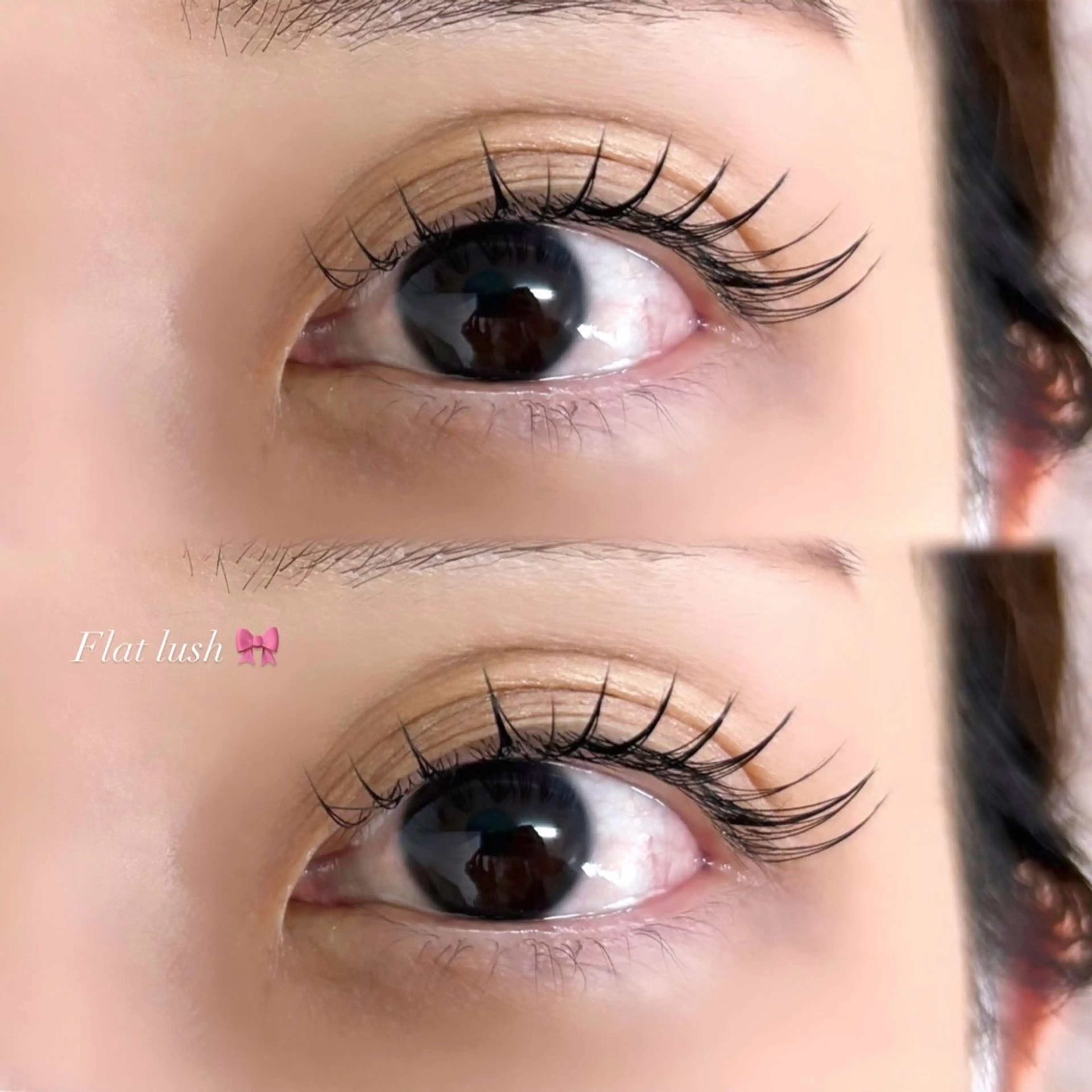 マツエク・マツパ フラットラッシュ EYELA 小築🐈‍⬛🤍のマツエク・マツパデザイン