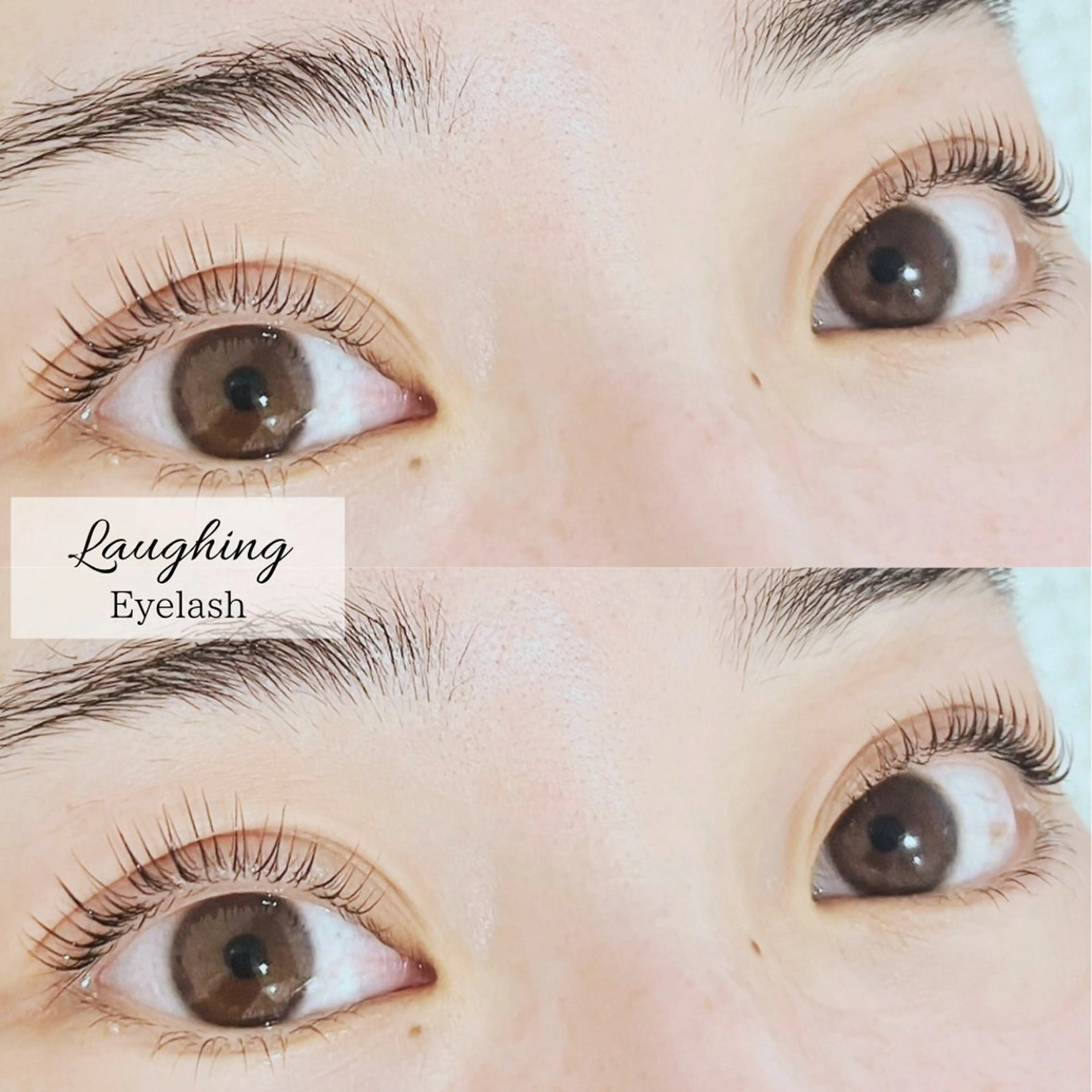 マツパ　上下の写真