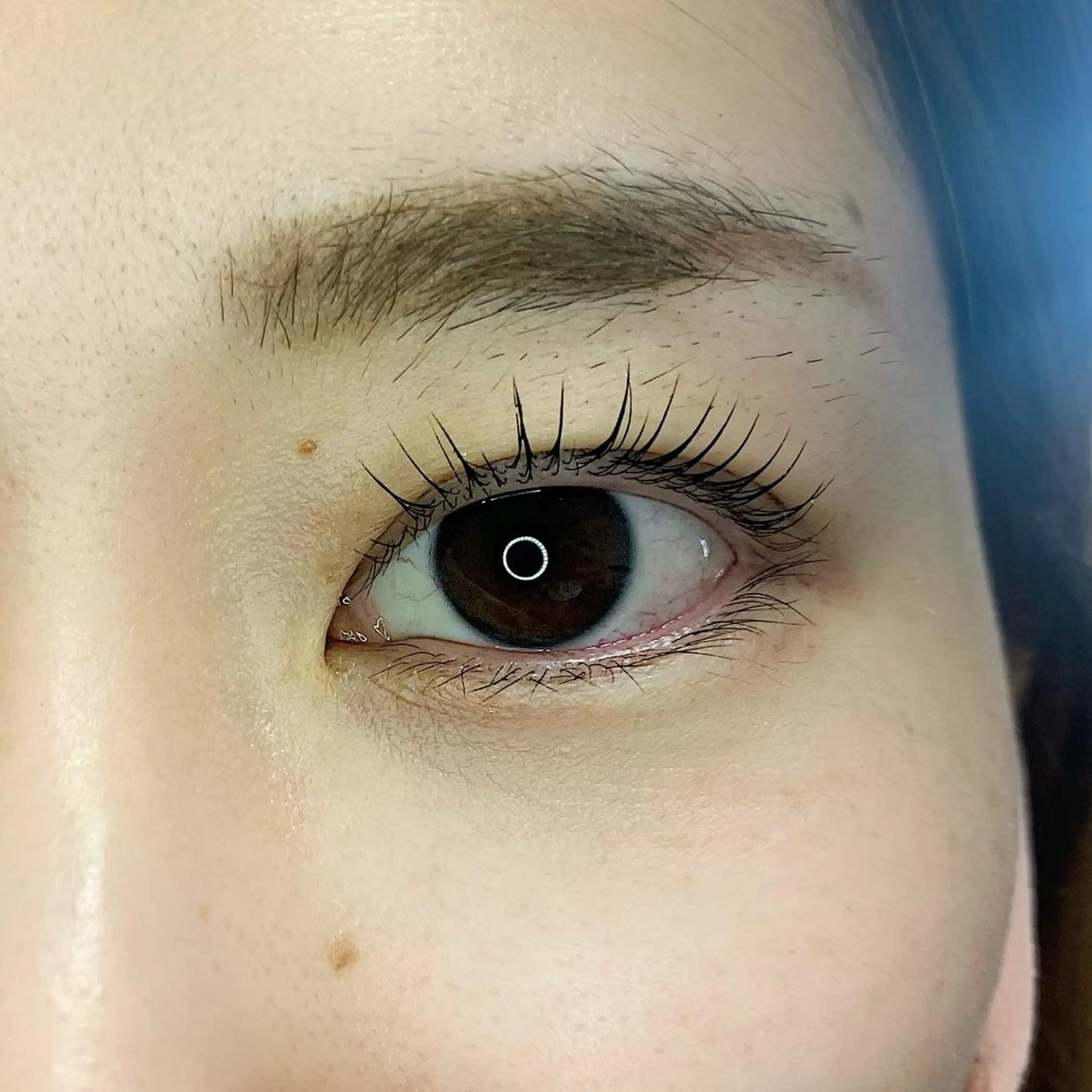 マツエク・マツパ まつげパーマ Eye Lash Salon SEN所属・アイデザイナー CHIHIRO𓁅のマツエク・マツパデザイン