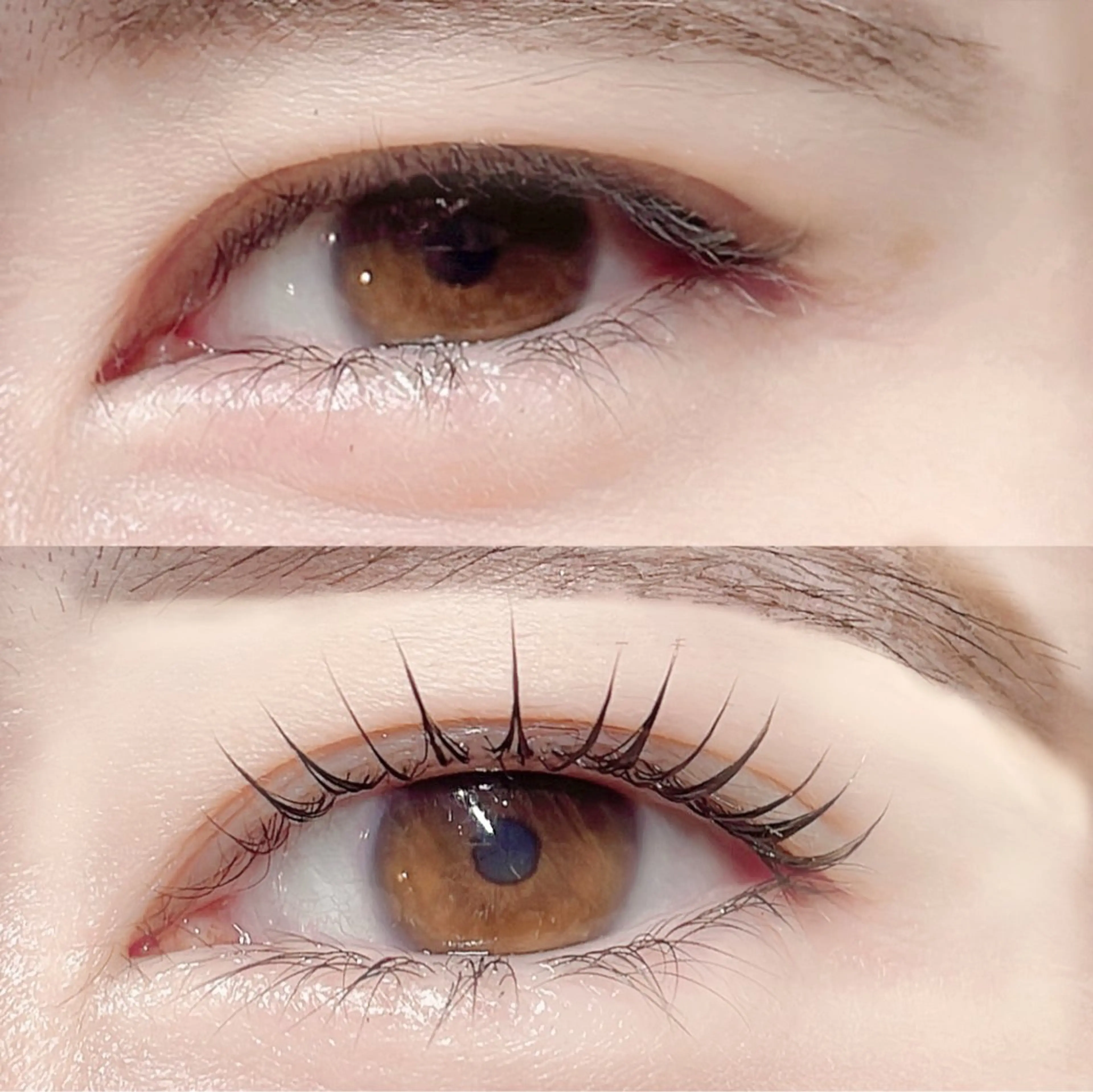 マツエク・マツパ 韓国風マツエク パリジェンヌラッシュリフト まつげパーマ 下まつげエクステ 一重×まつ毛パーマ マツパ 🎀Lino 中目黒 TAKAMI🐈のマツエク・マツパデザイン