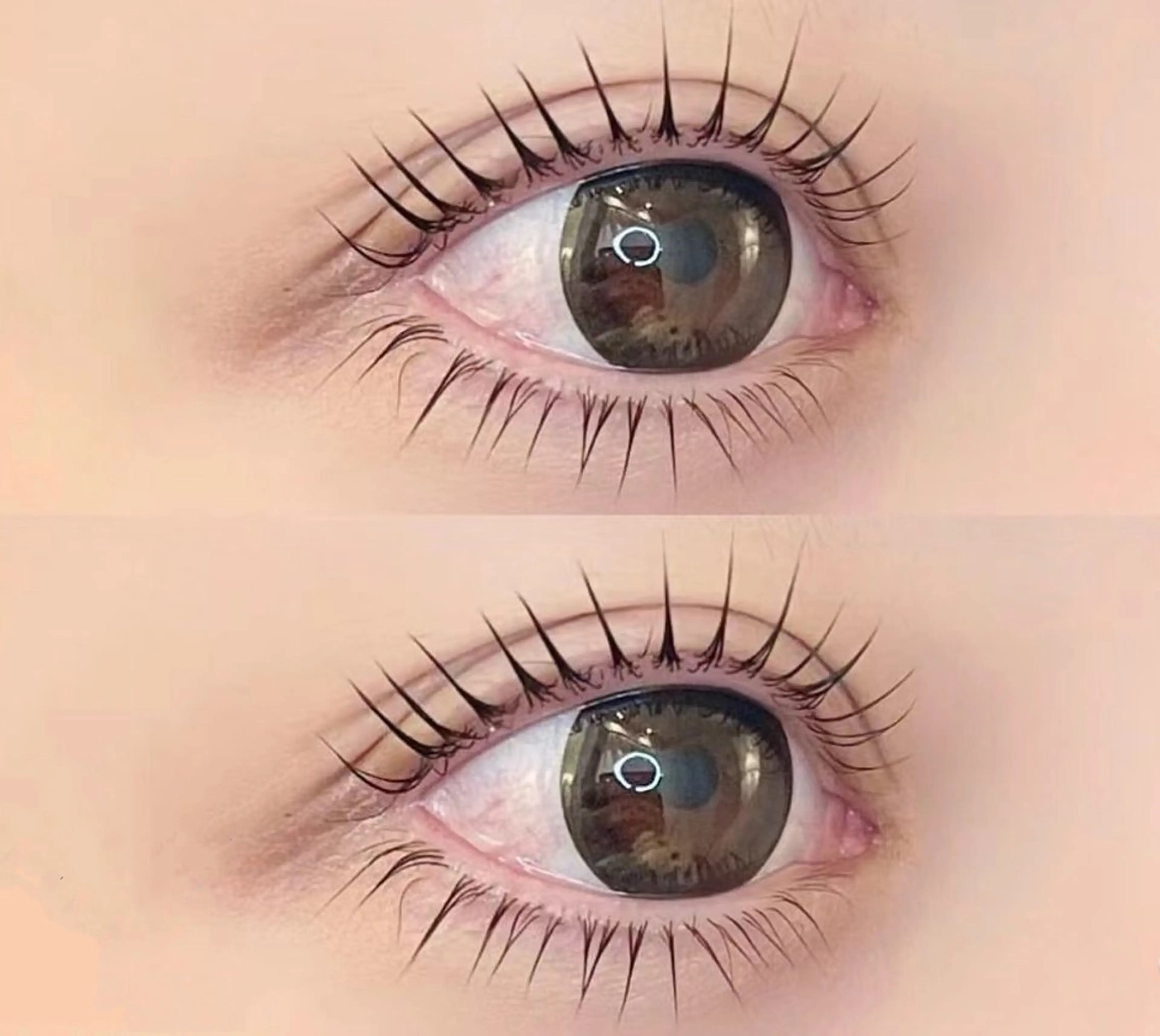 🦋パリジェンヌラッシュリフト🦋　(上下セット)🉐6️⃣3️⃣0️⃣0️⃣  🌸トリートメント付き🌸の写真